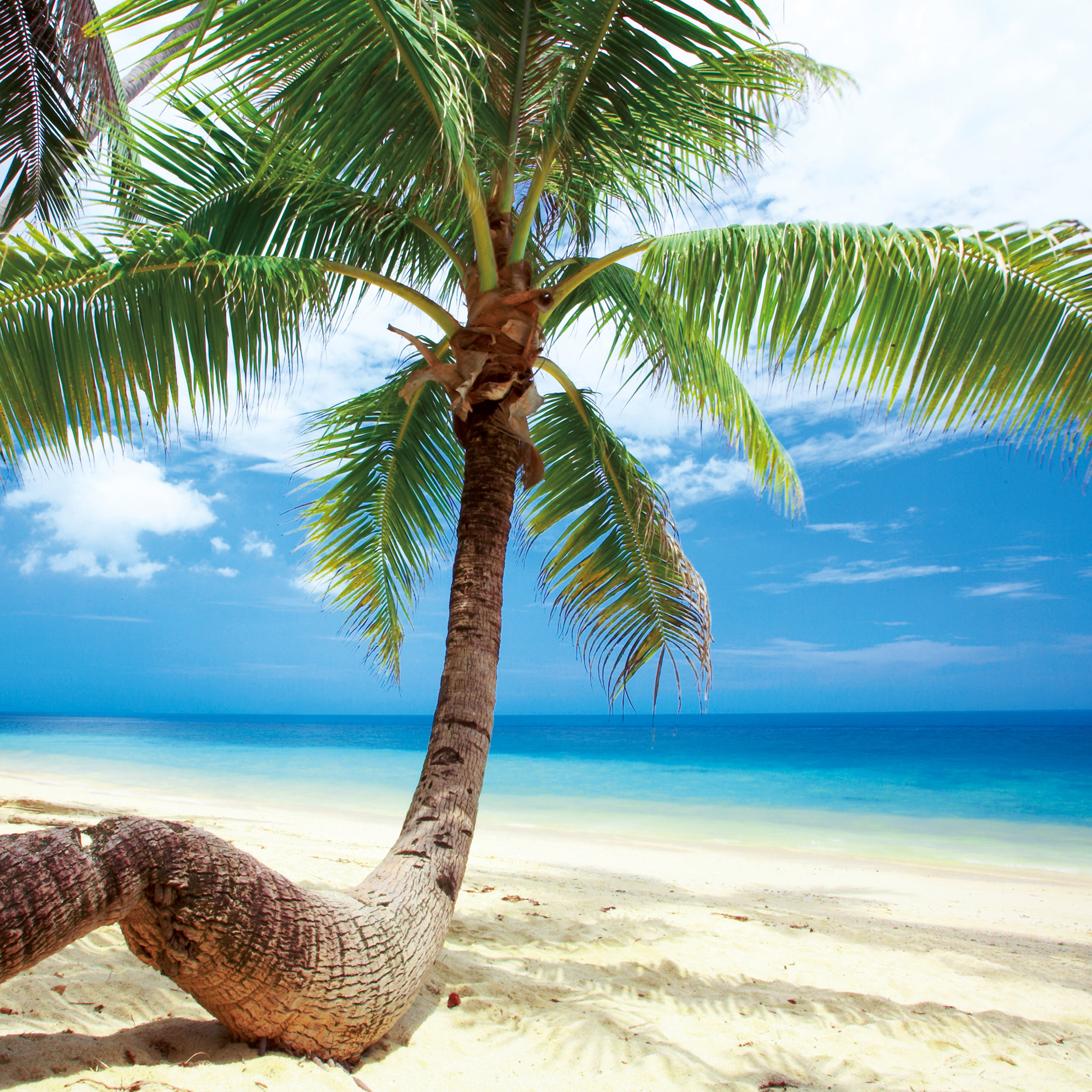 9783959295819_innenansicht_01 9783959295819_innenansicht_01.jpg