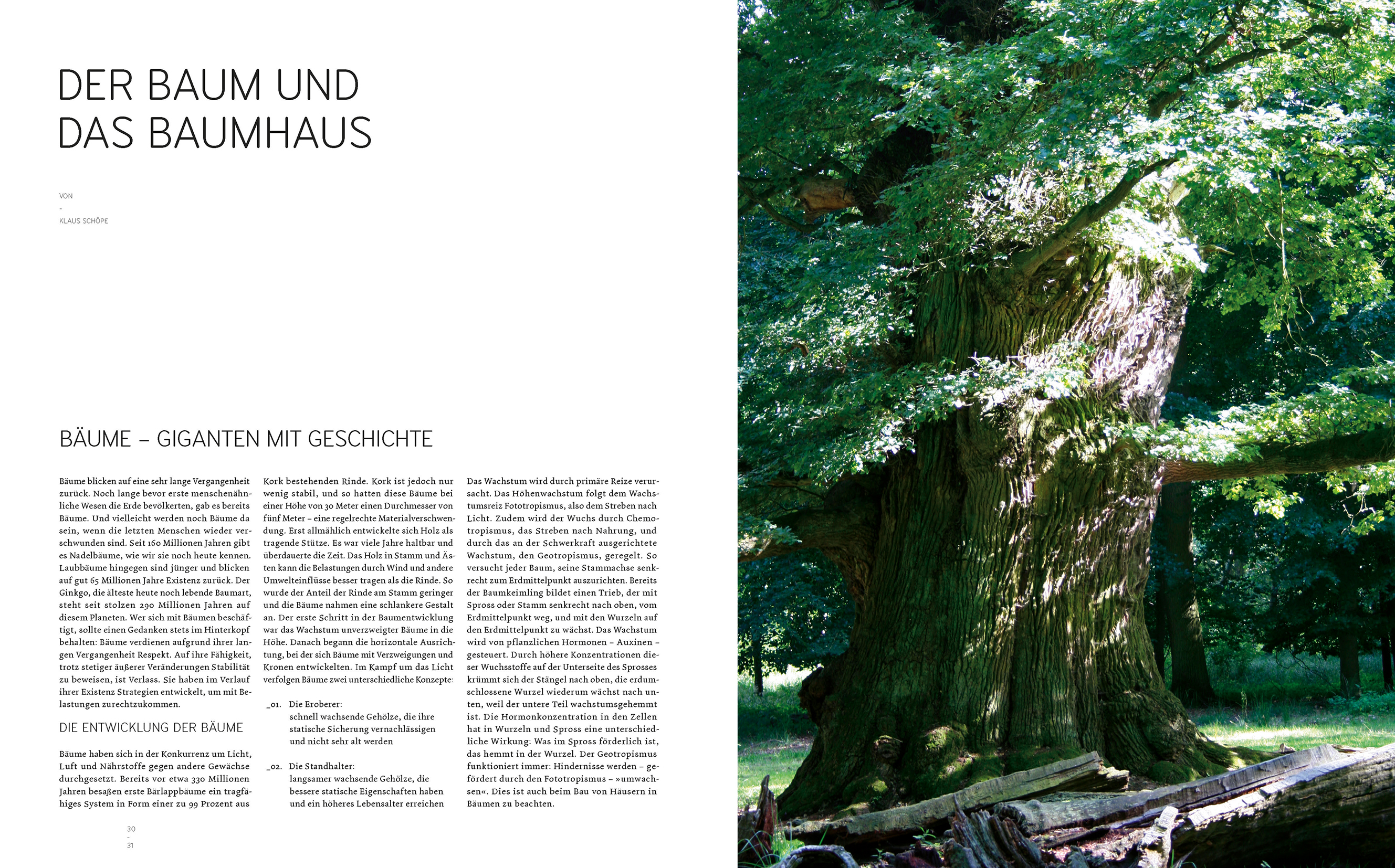 9783869221892_innenansicht_04 9783869221892_innenansicht_04.jpg