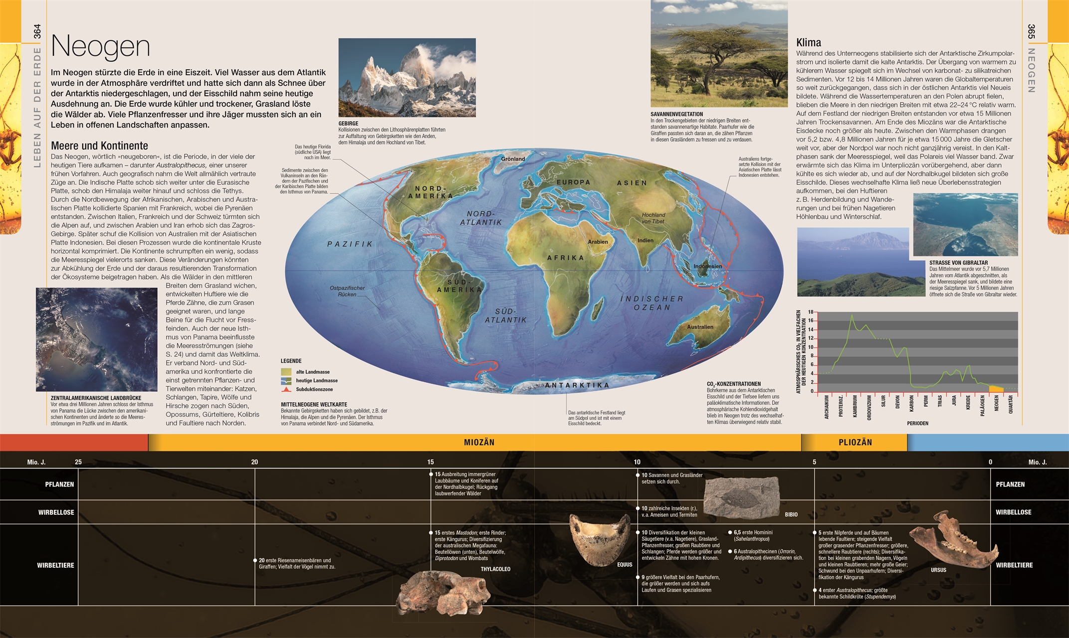 9783831040308_innenansicht_08 9783831040308_innenansicht_08.jpg