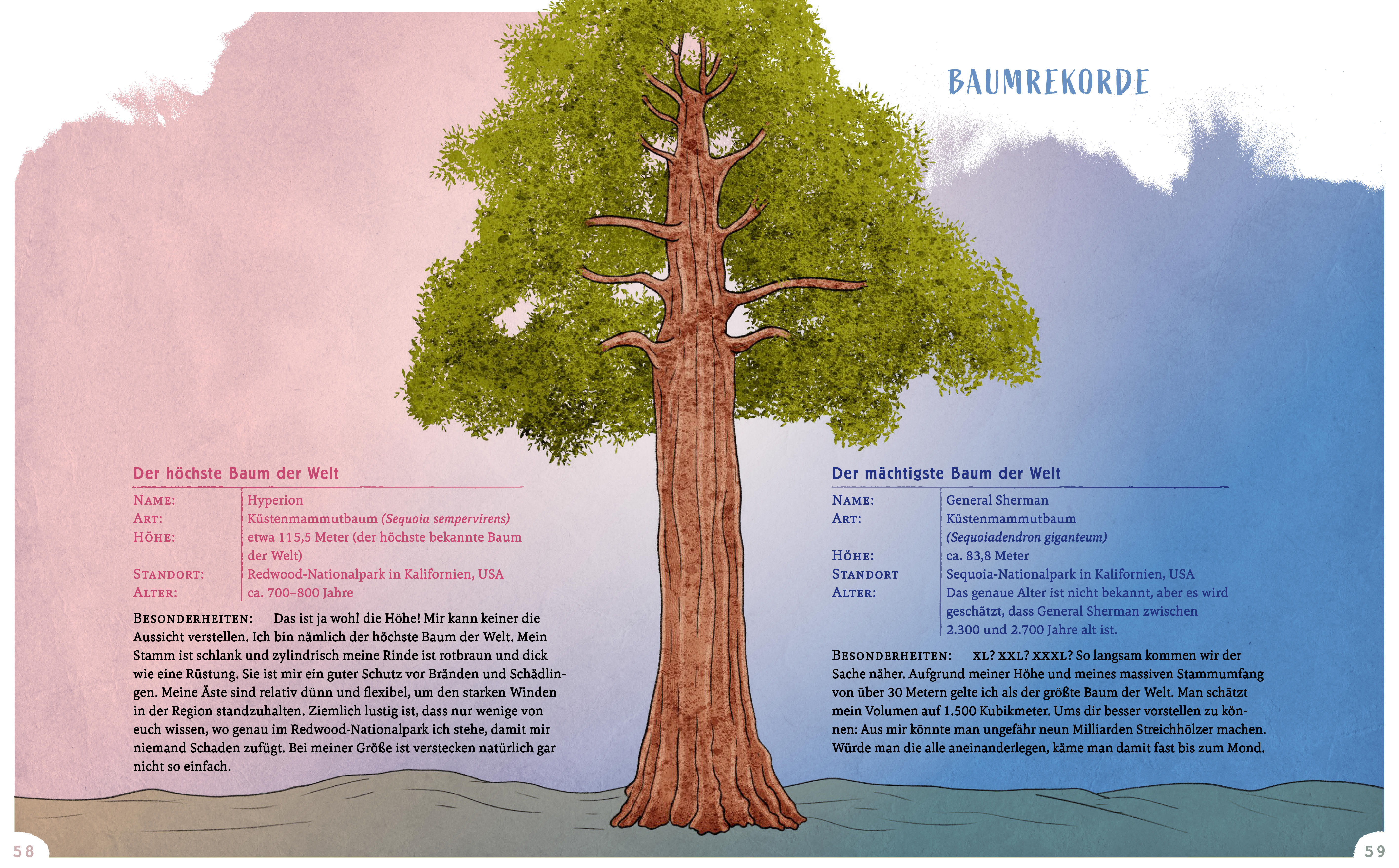 9783833909429_innenansicht_09 9783833909429_innenansicht_09.jpg