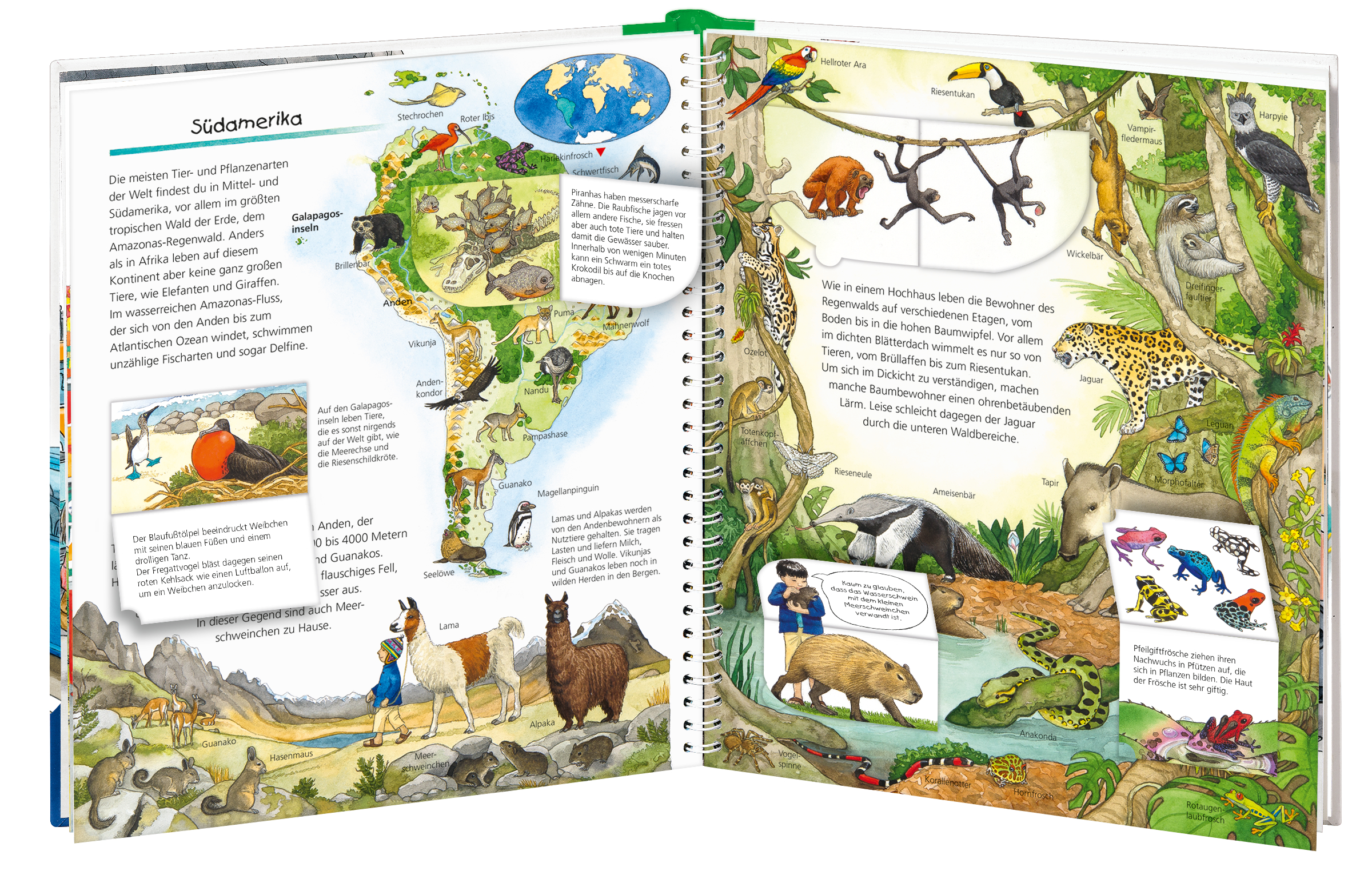 9783473326013_innenansicht_04 9783473326013_innenansicht_04.jpg