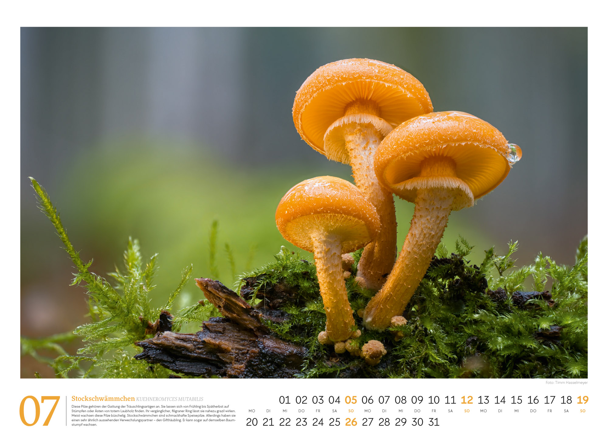 9783838436333_innenansicht_07 9783838436333_innenansicht_07.jpg