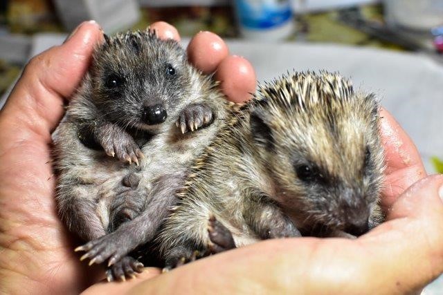 9783328102823_innenansicht_03.jpg 9783328102823_innenansicht_03.jpg