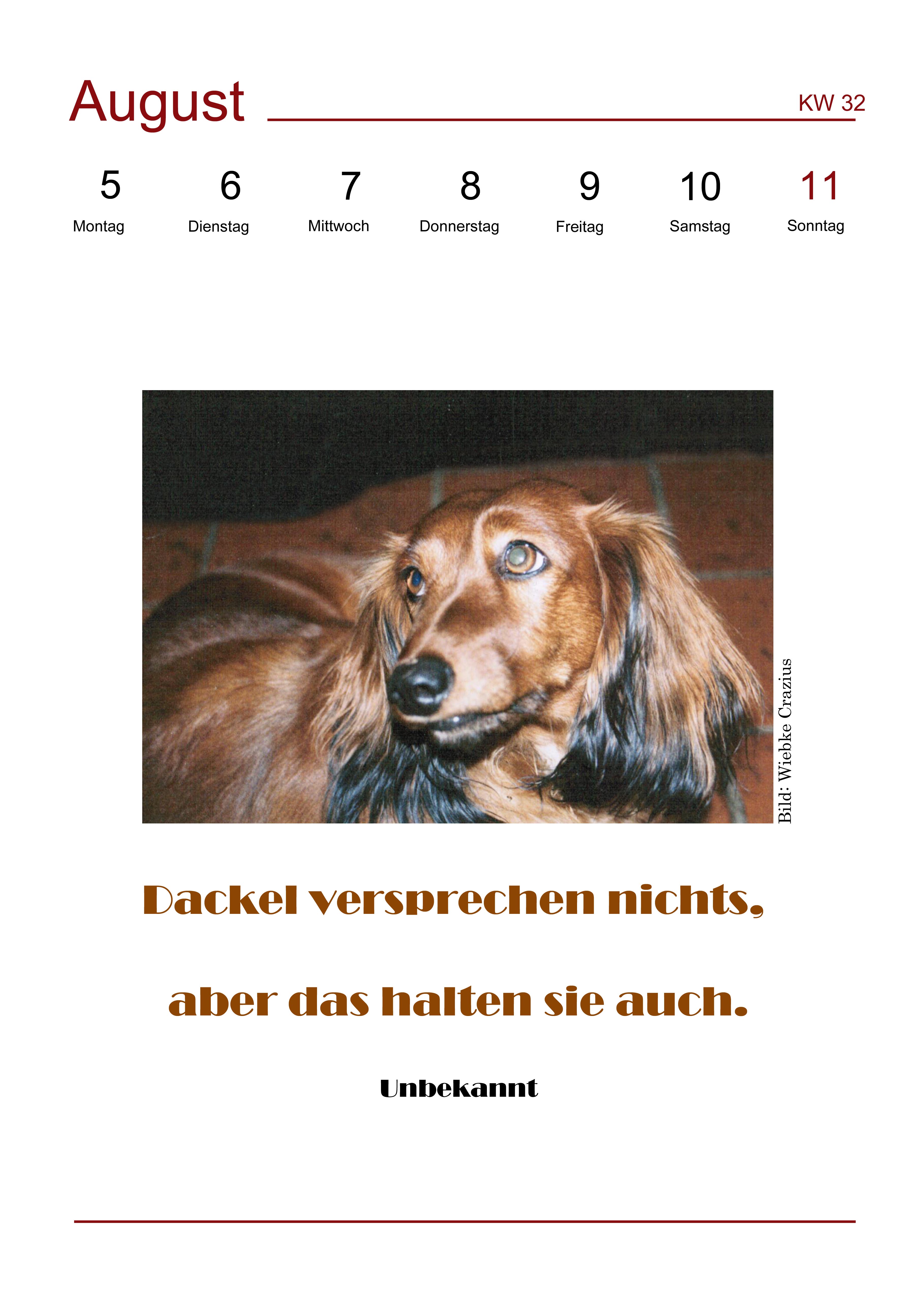 9783982150376_reihenbild.jpg