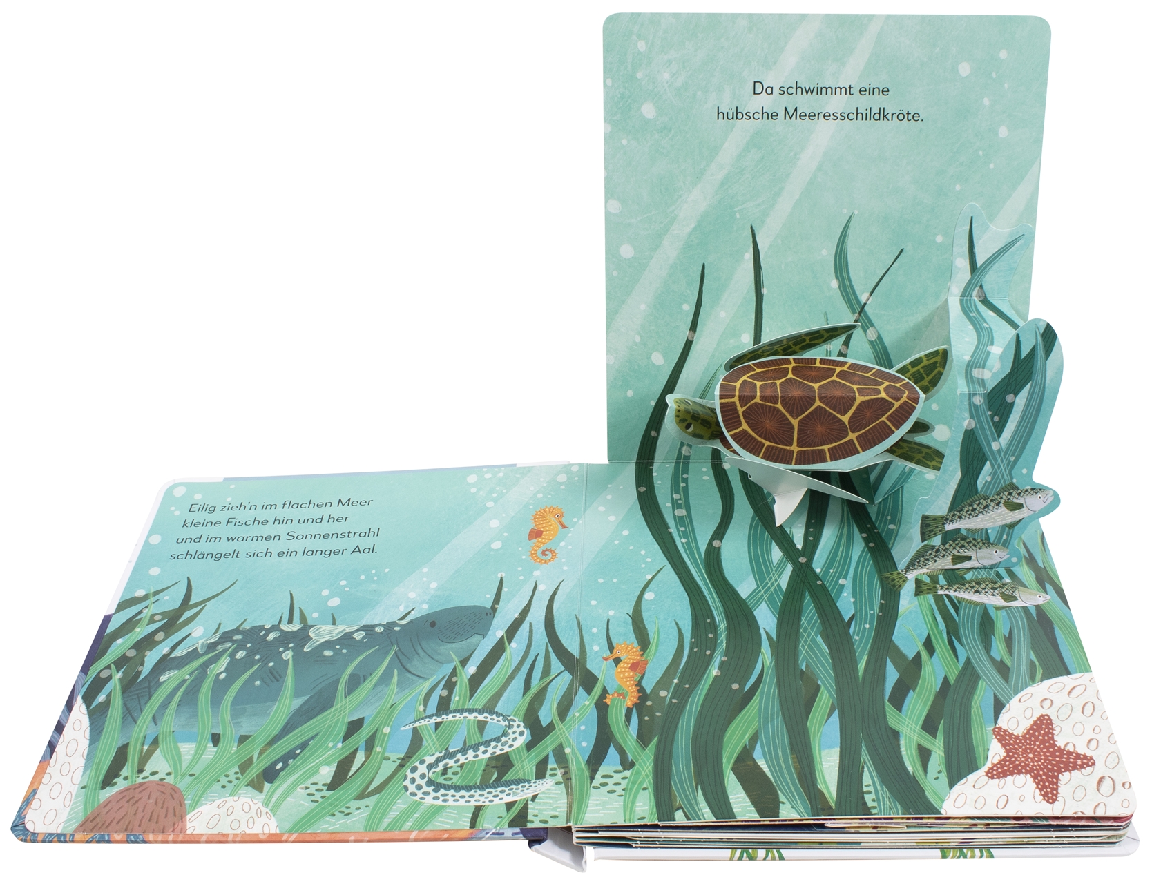 9783831047130_innenansicht_01 9783831047130_innenansicht_01.jpg