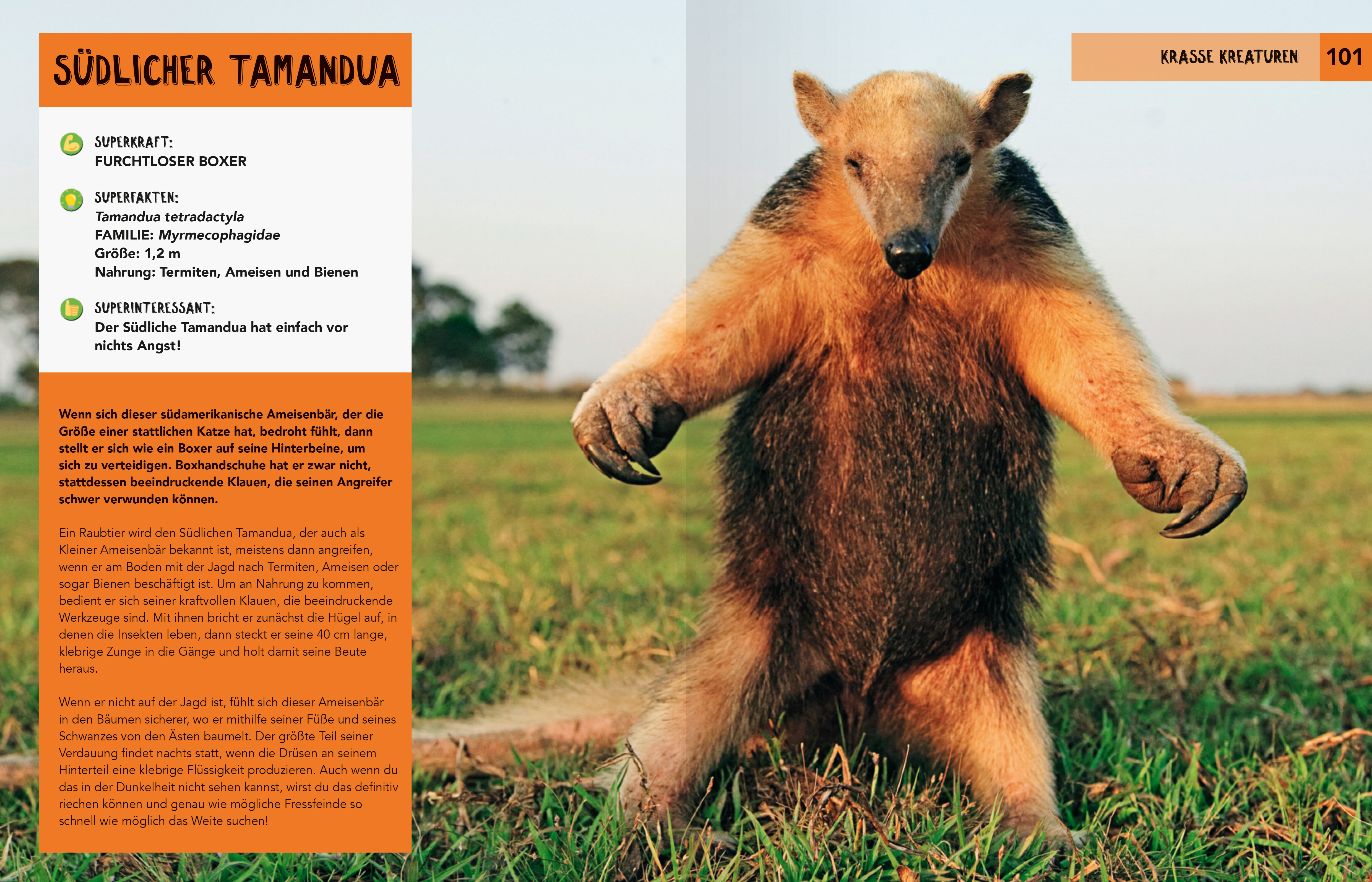 9783473480715_innenansicht_01 9783473480715_innenansicht_01.jpg