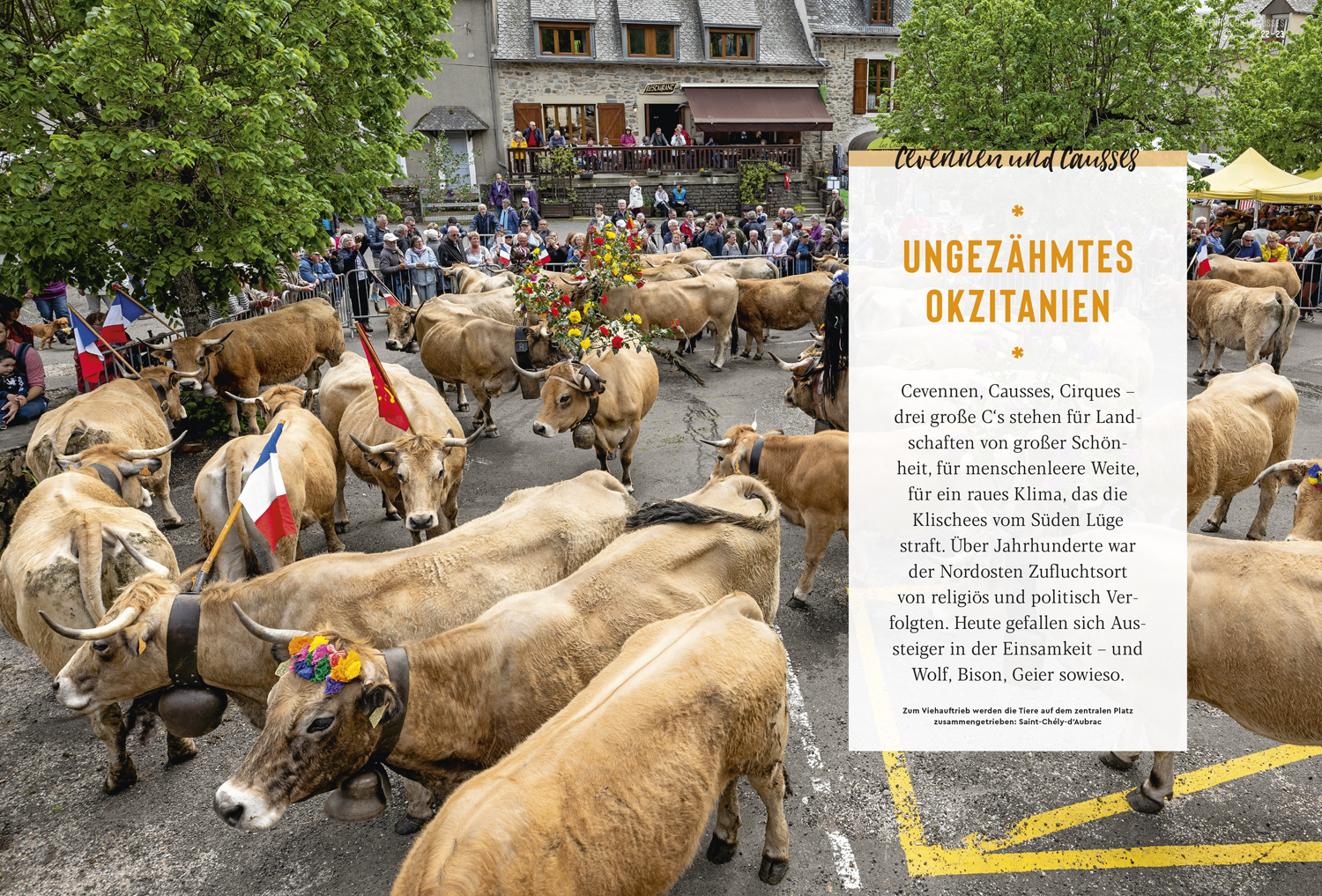 9783770191826_innenansicht_06 9783770191826_innenansicht_06.jpg