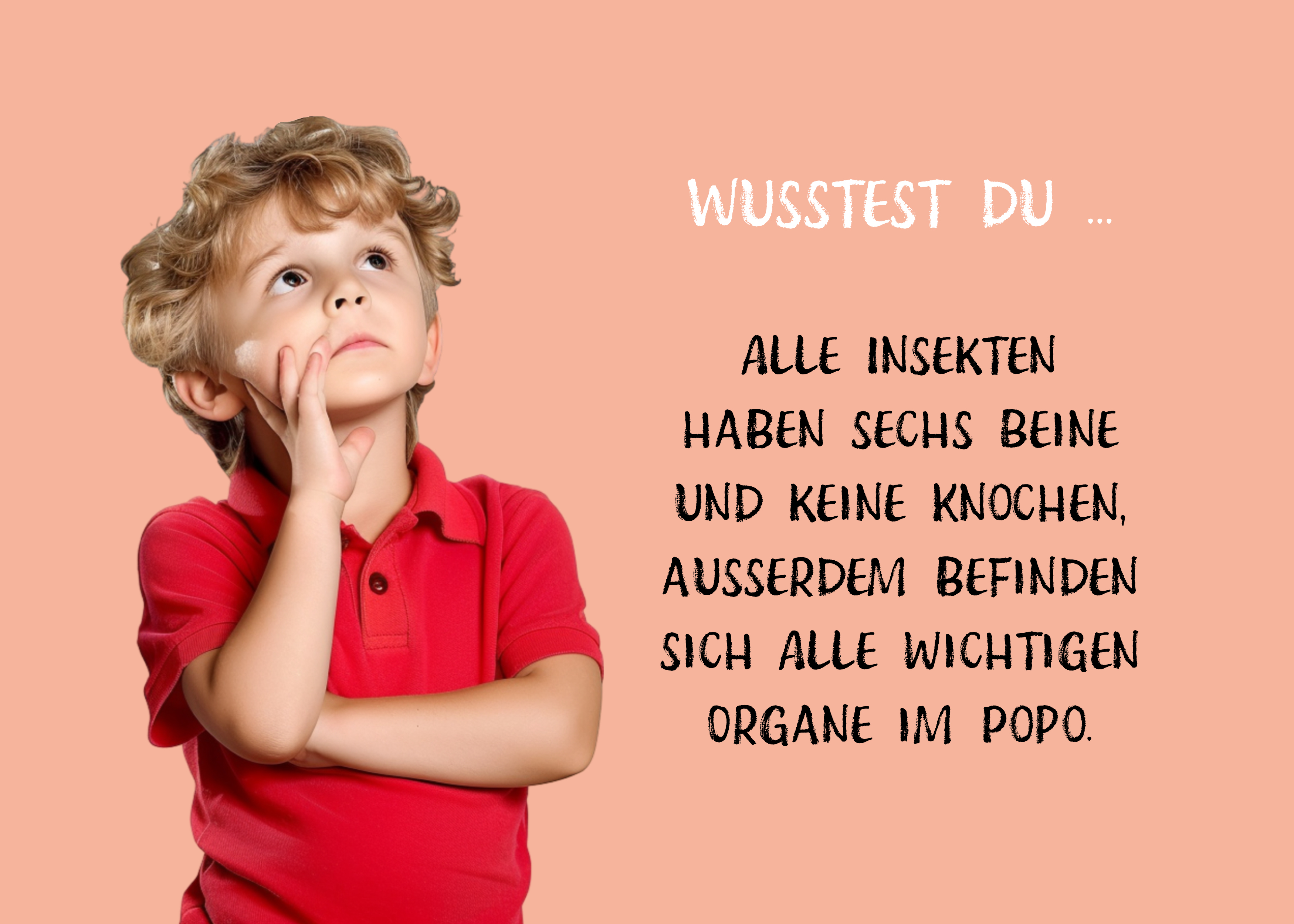 9783989423657_innenansicht_07.jpg