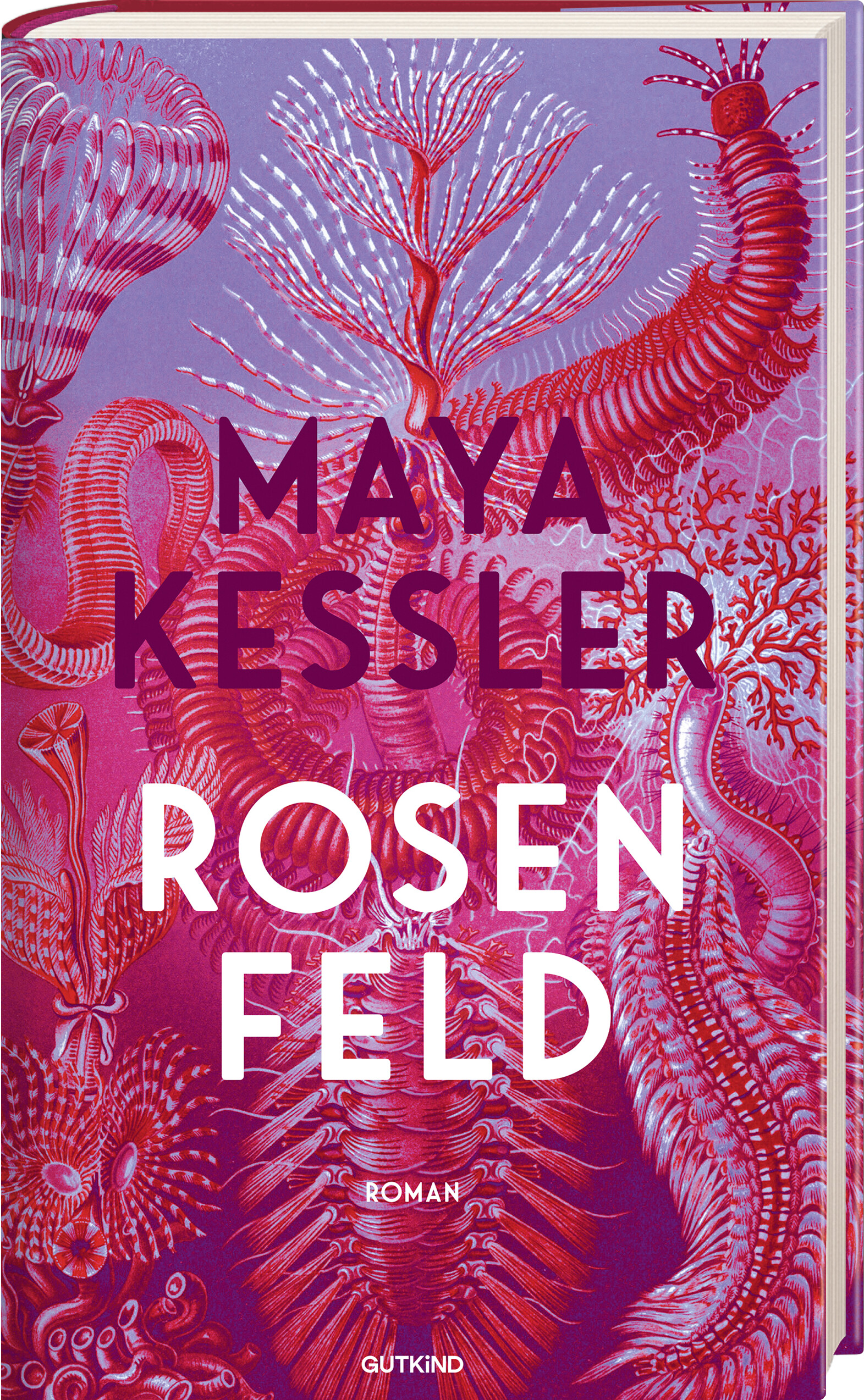 9783989410183_weiterecover_01 9783989410183_weiterecover_01.jpg