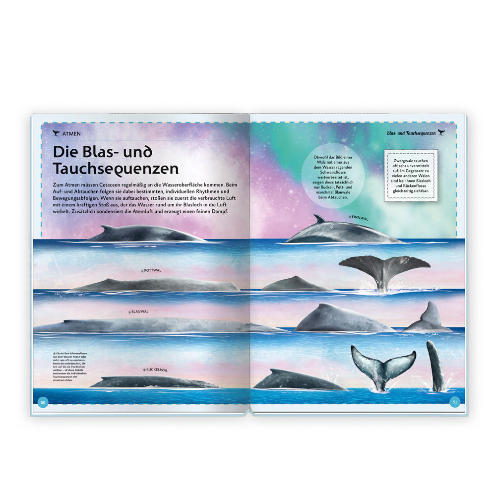 9783988023452_innenansicht_03 9783988023452_innenansicht_03.jpg