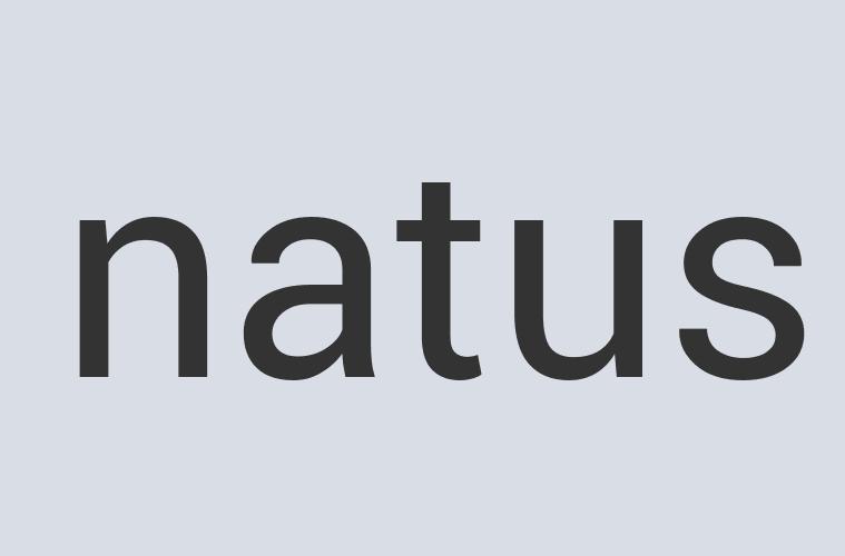 Practical Iron Artego