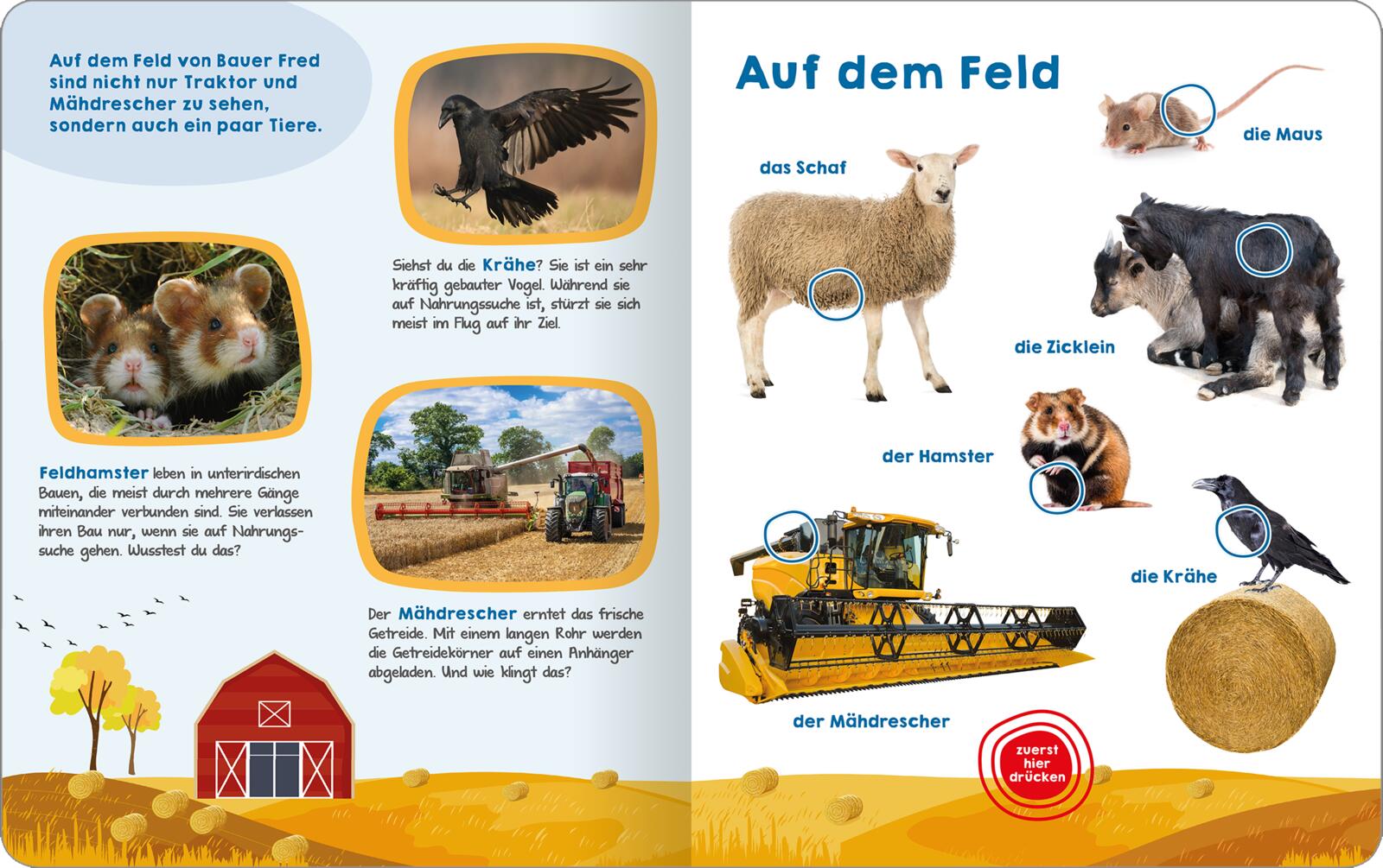 9783845852294_innenansicht_02.jpg