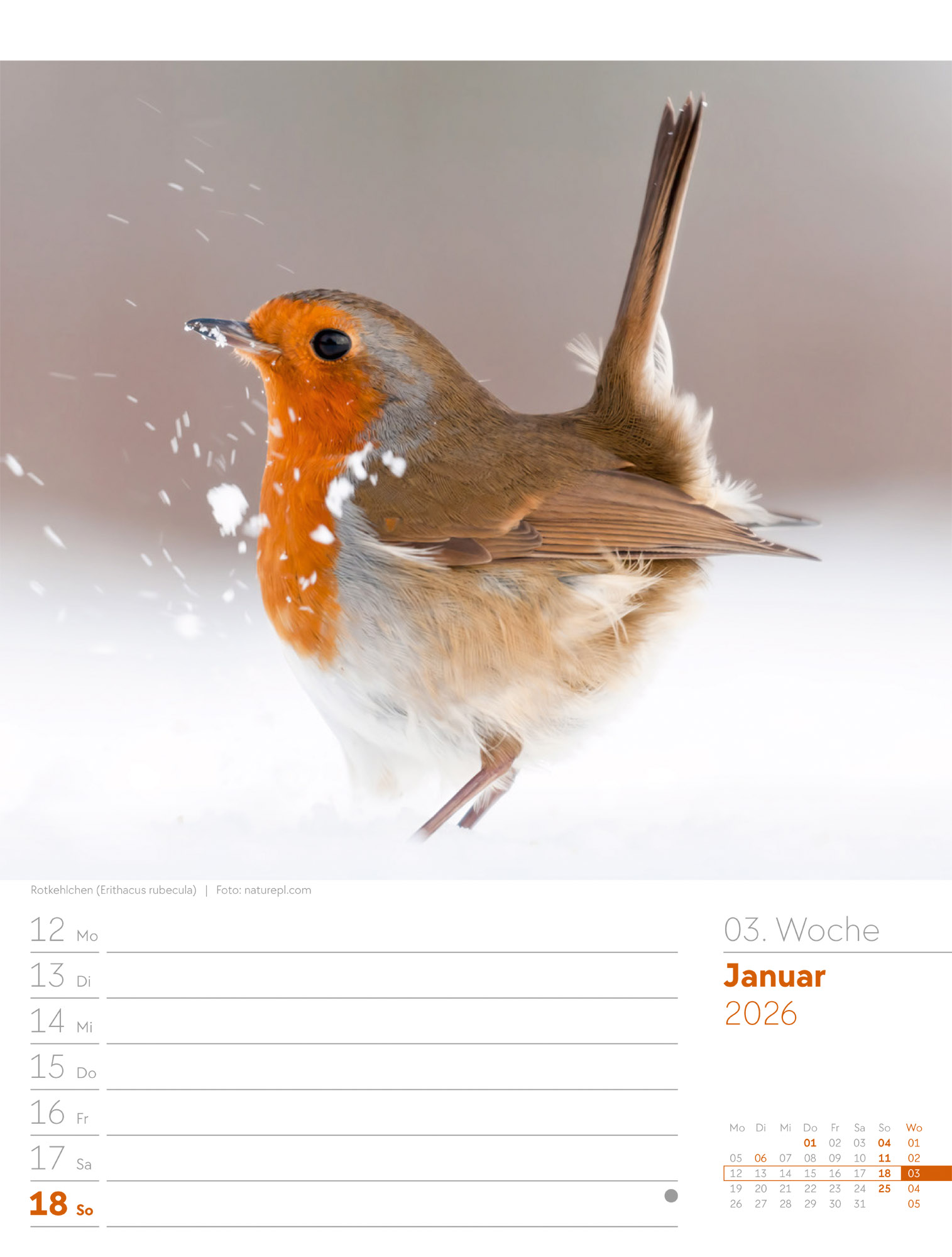 9783838436289_innenansicht_05.jpg