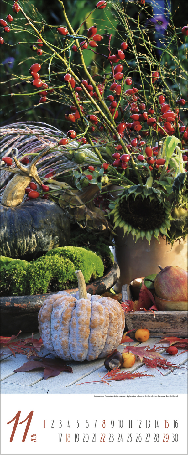 9783731886334_innenansicht_11 9783731886334_innenansicht_11.jpg