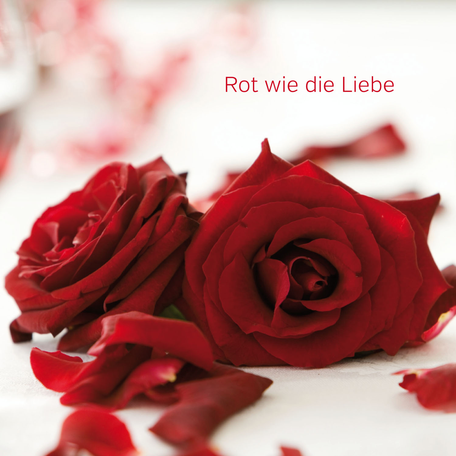 4027537000729_innenansicht_01 4027537000729_innenansicht_01.jpg