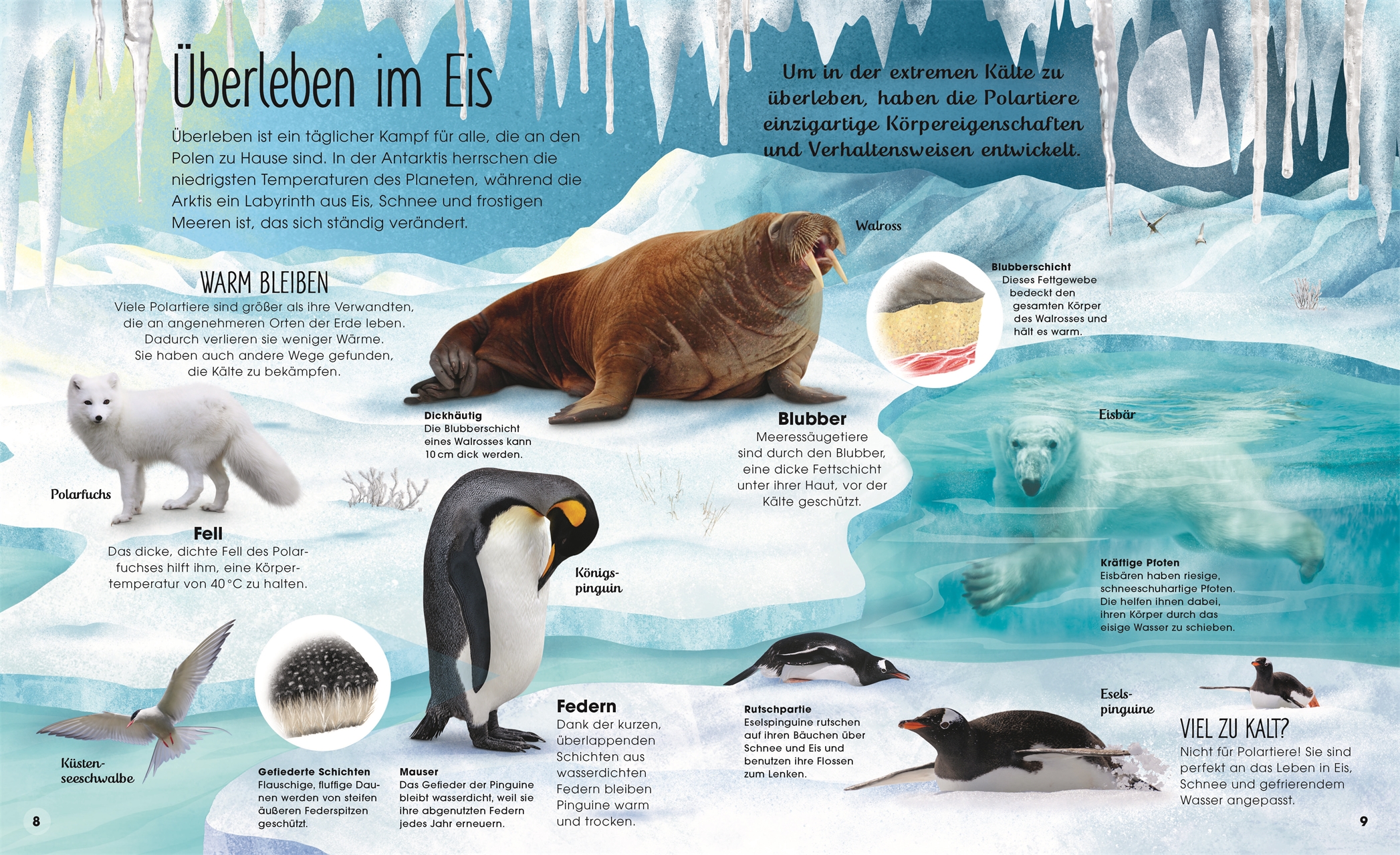 9783831047536_innenansicht_04 9783831047536_innenansicht_04.jpg