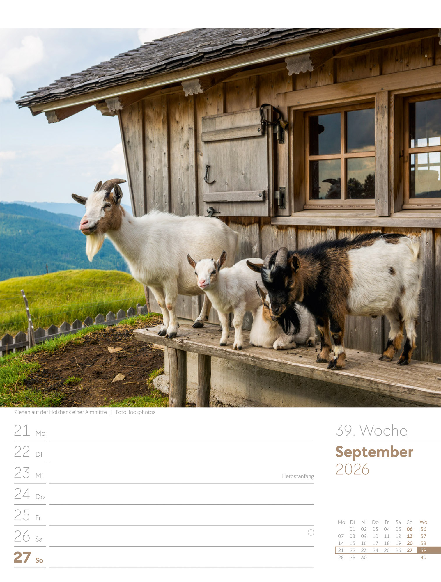 9783838436029_innenansicht_42 9783838436029_innenansicht_42.jpg