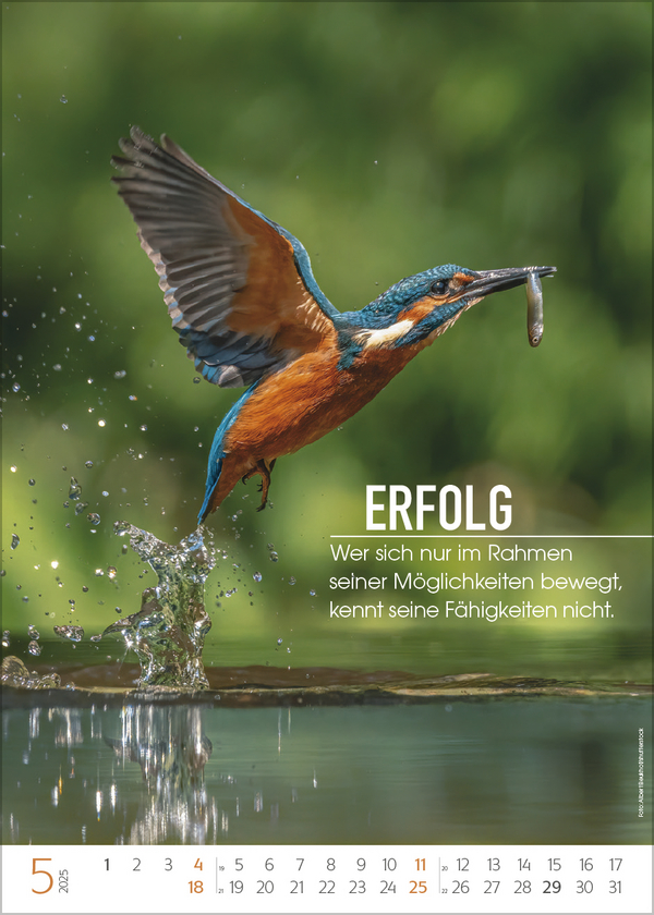 9783731876298_innenansicht_05 9783731876298_innenansicht_05.jpg