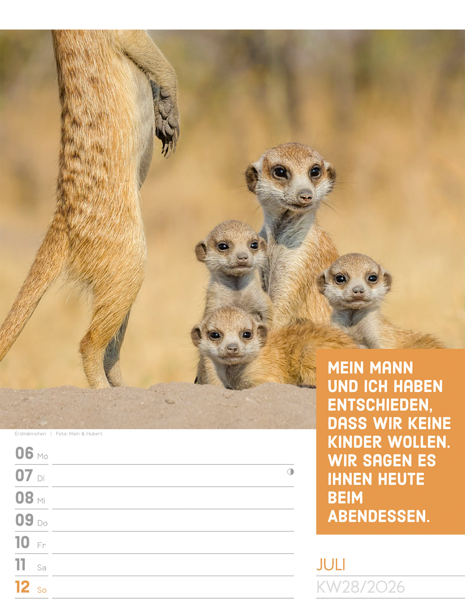 9783838426969_innenansicht_31.jpg