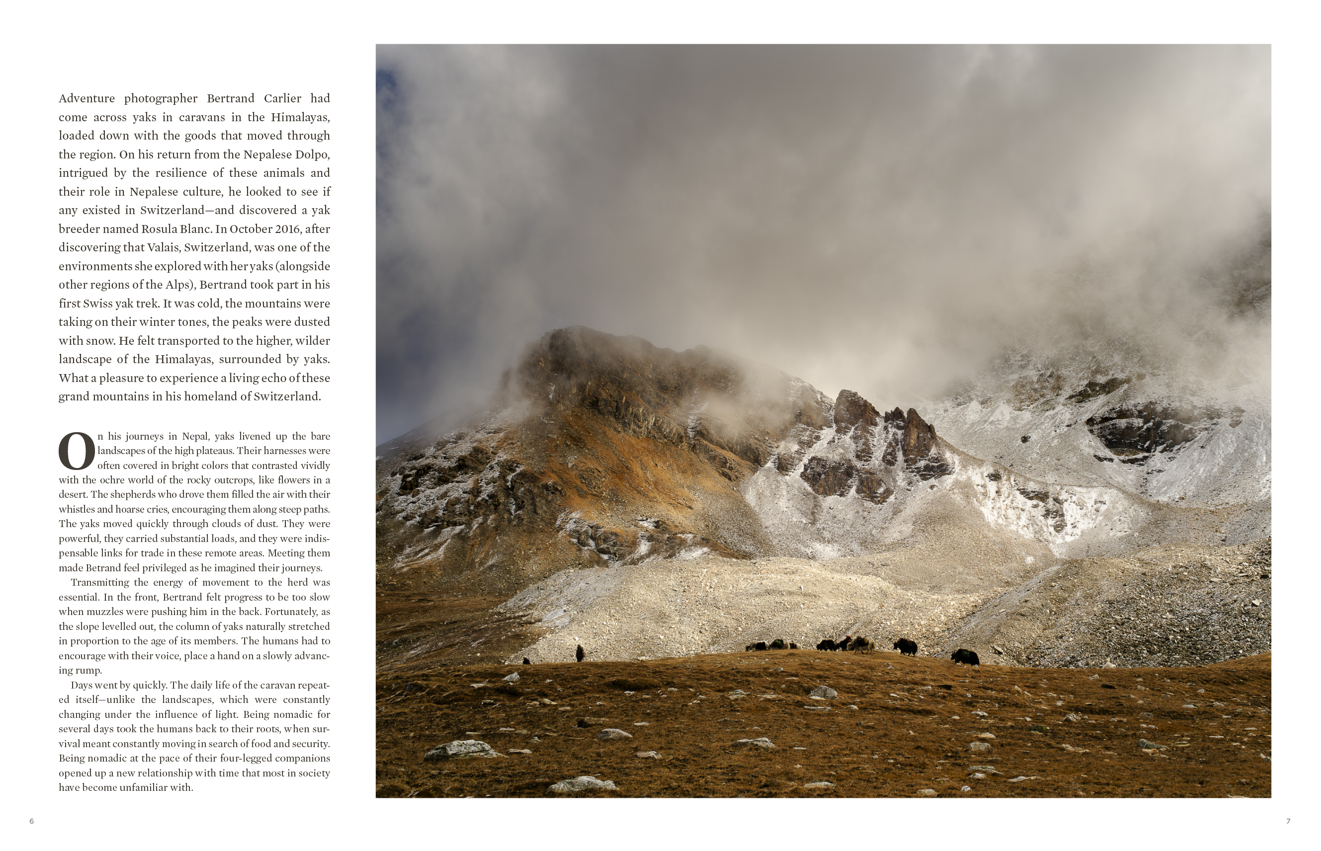 9783967041965_innenansicht_03 9783967041965_innenansicht_03.jpg