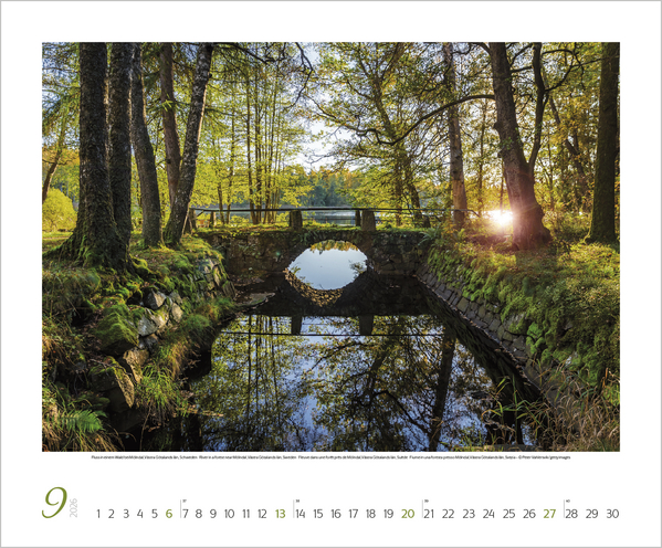 9783731883388_innenansicht_09 9783731883388_innenansicht_09.jpg