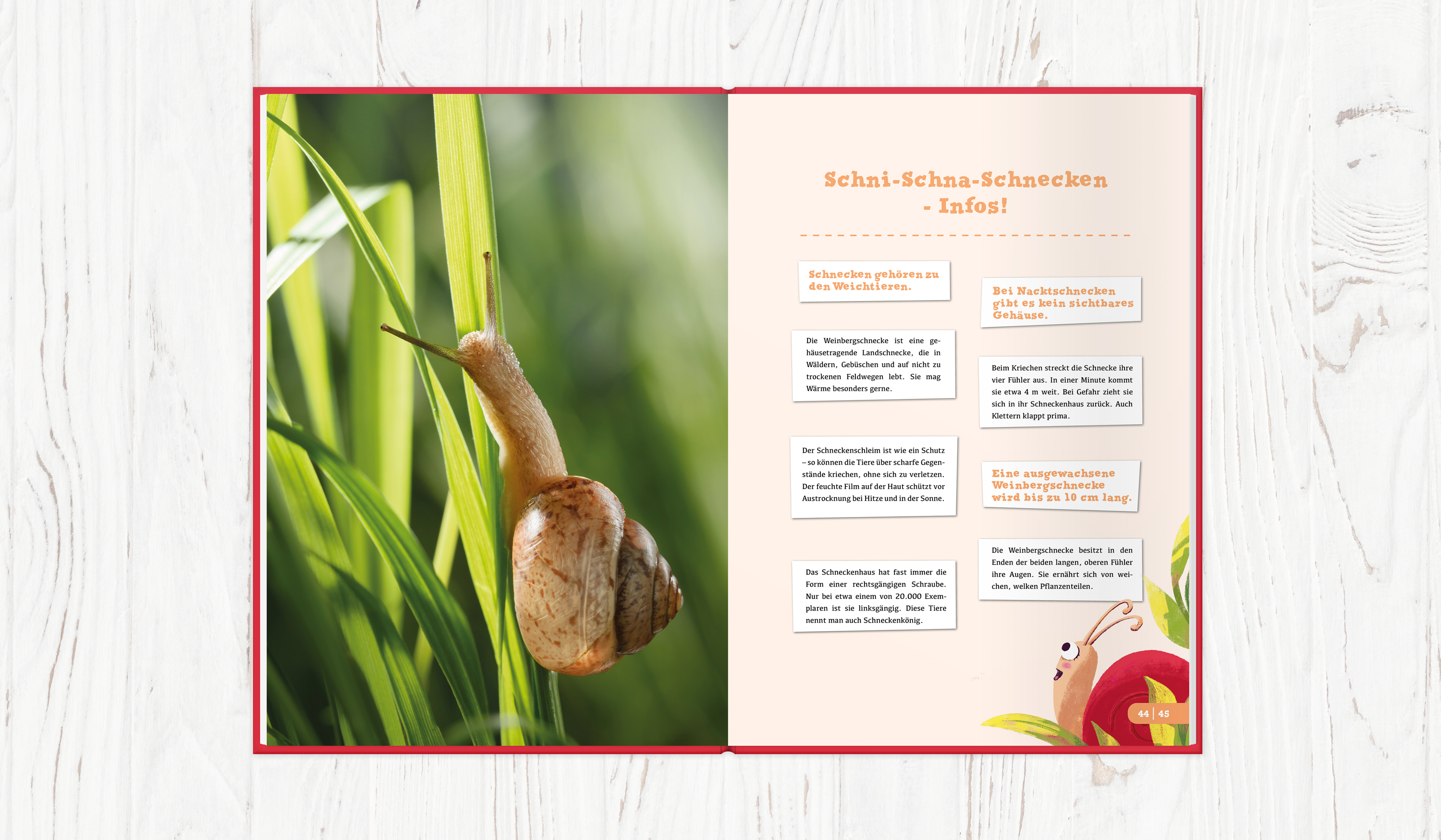 9783947738380_produktbild_07 9783947738380_produktbild_07.jpg