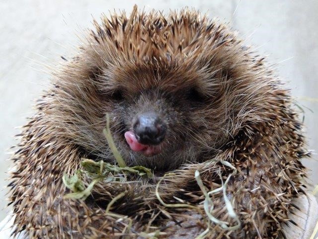 9783328102823_innenansicht_01 9783328102823_innenansicht_01.jpg