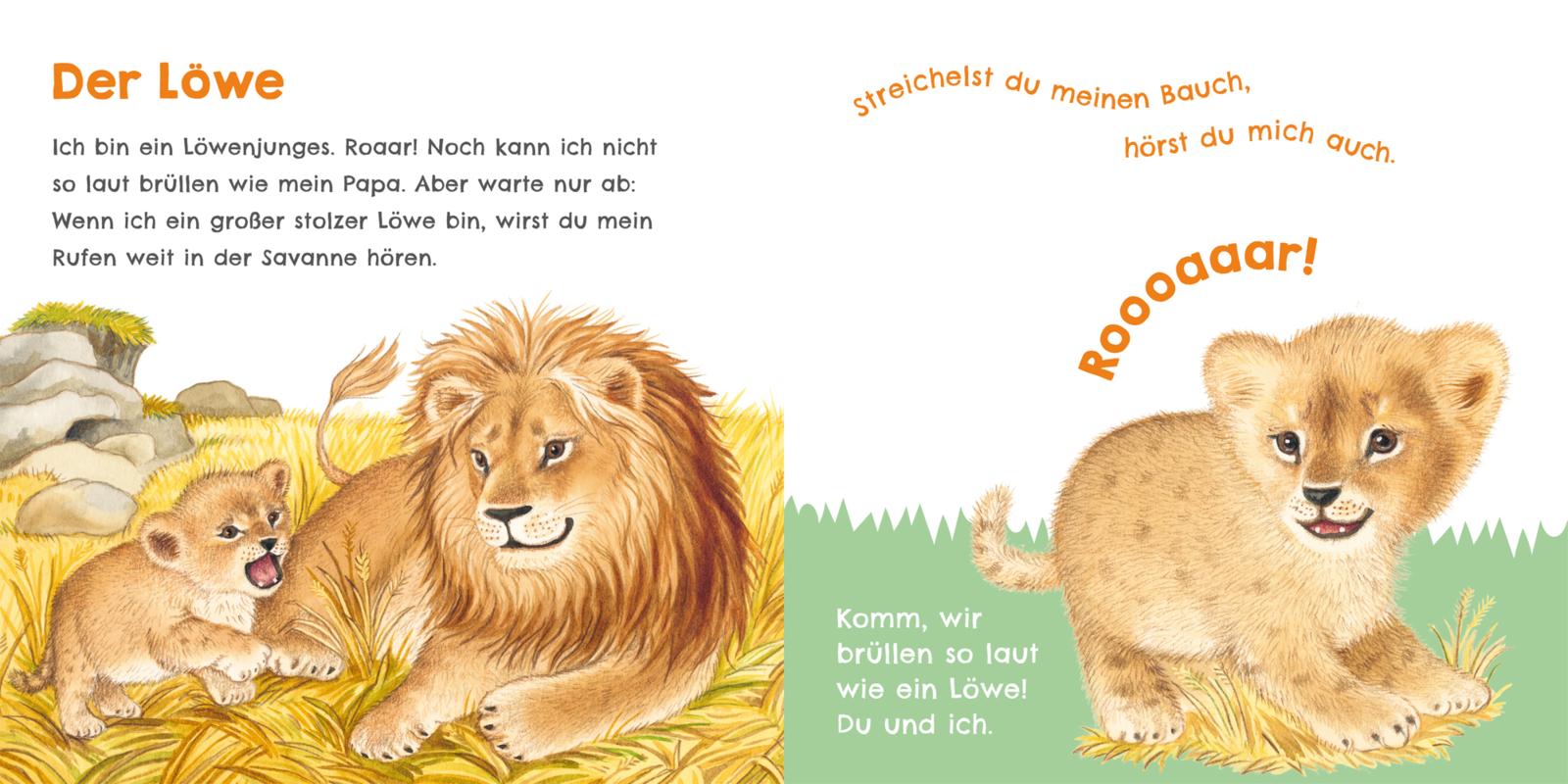 9783551254030_innenansicht_06.jpg