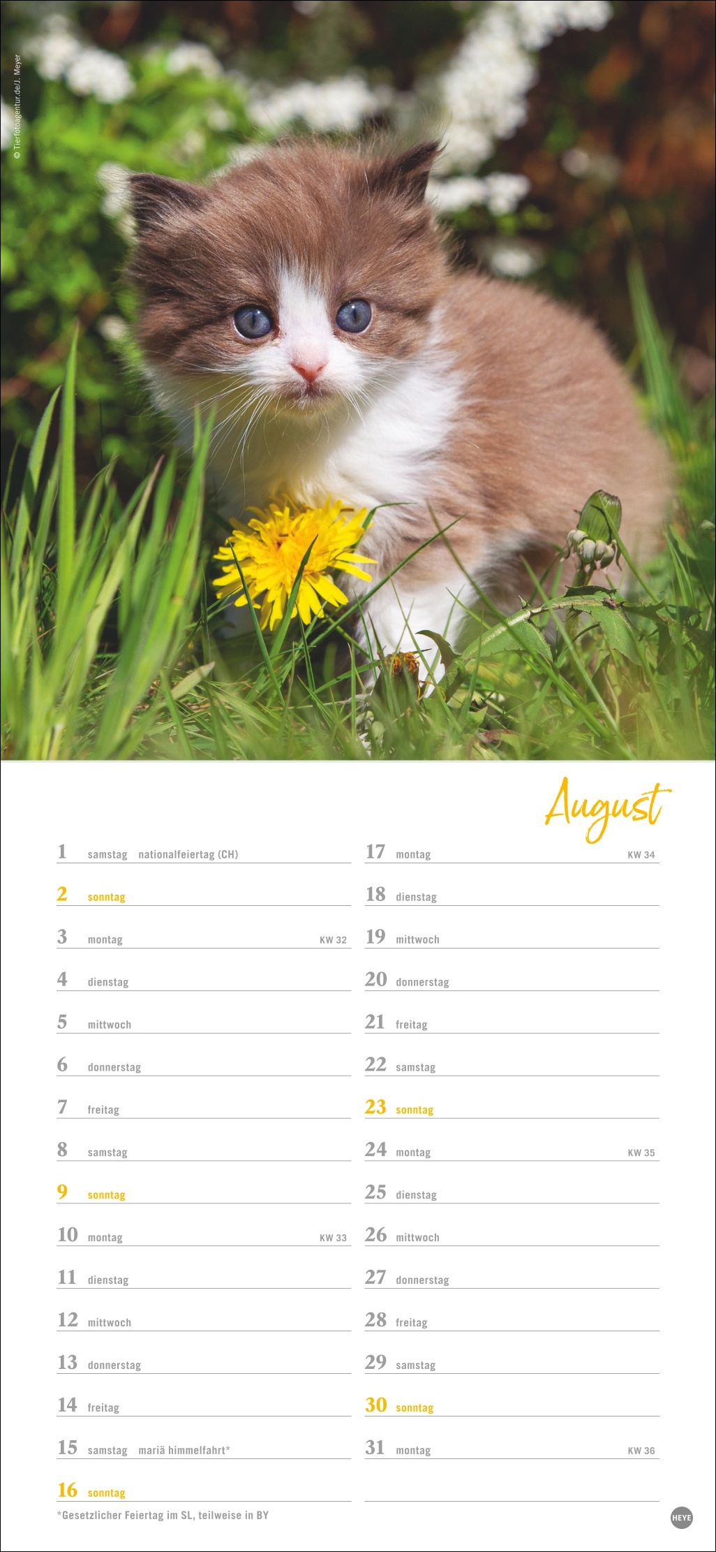 9783756409778_innenansicht_08 9783756409778_innenansicht_08.jpg