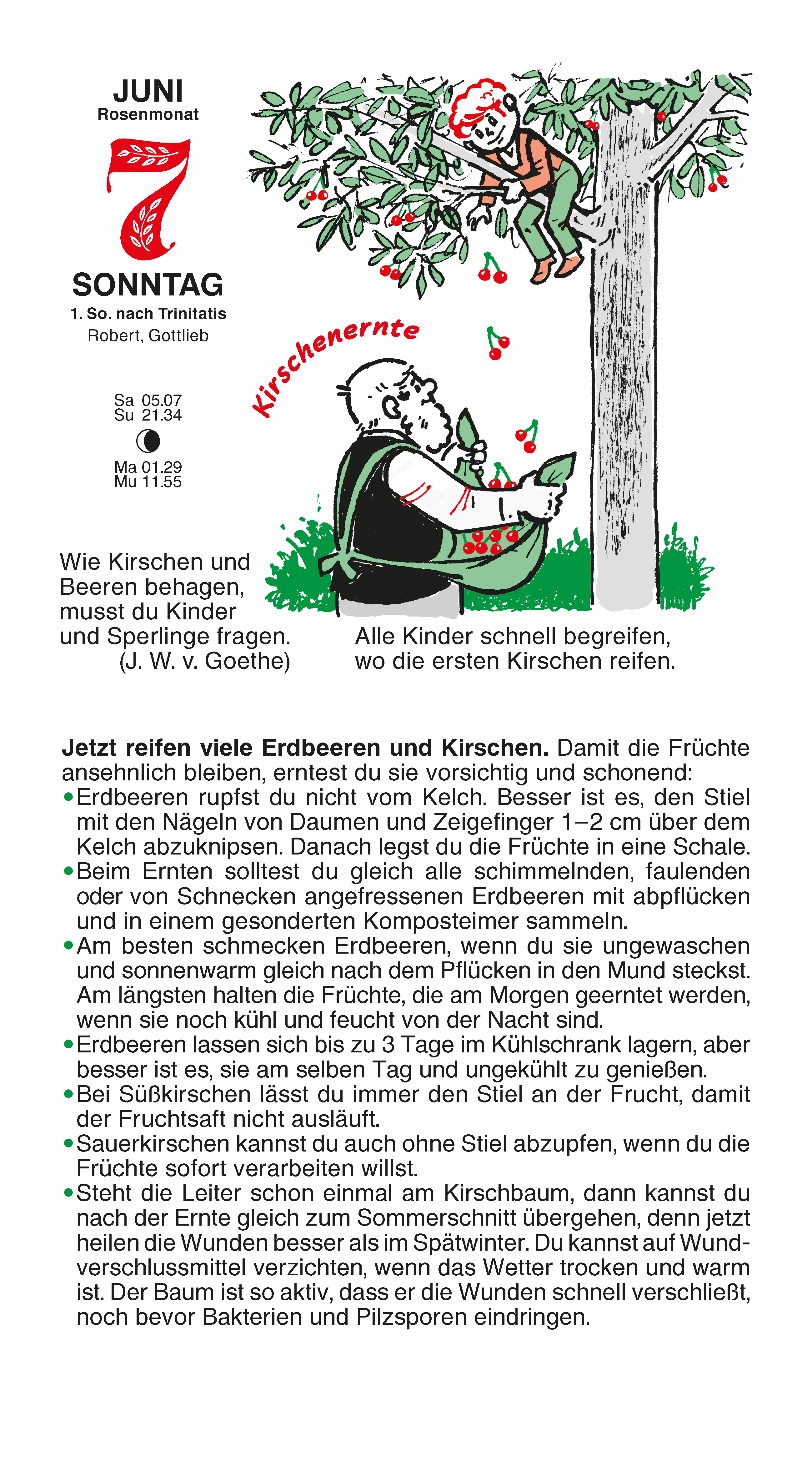 9783920362601_innenansicht_01 9783920362601_innenansicht_01.jpg