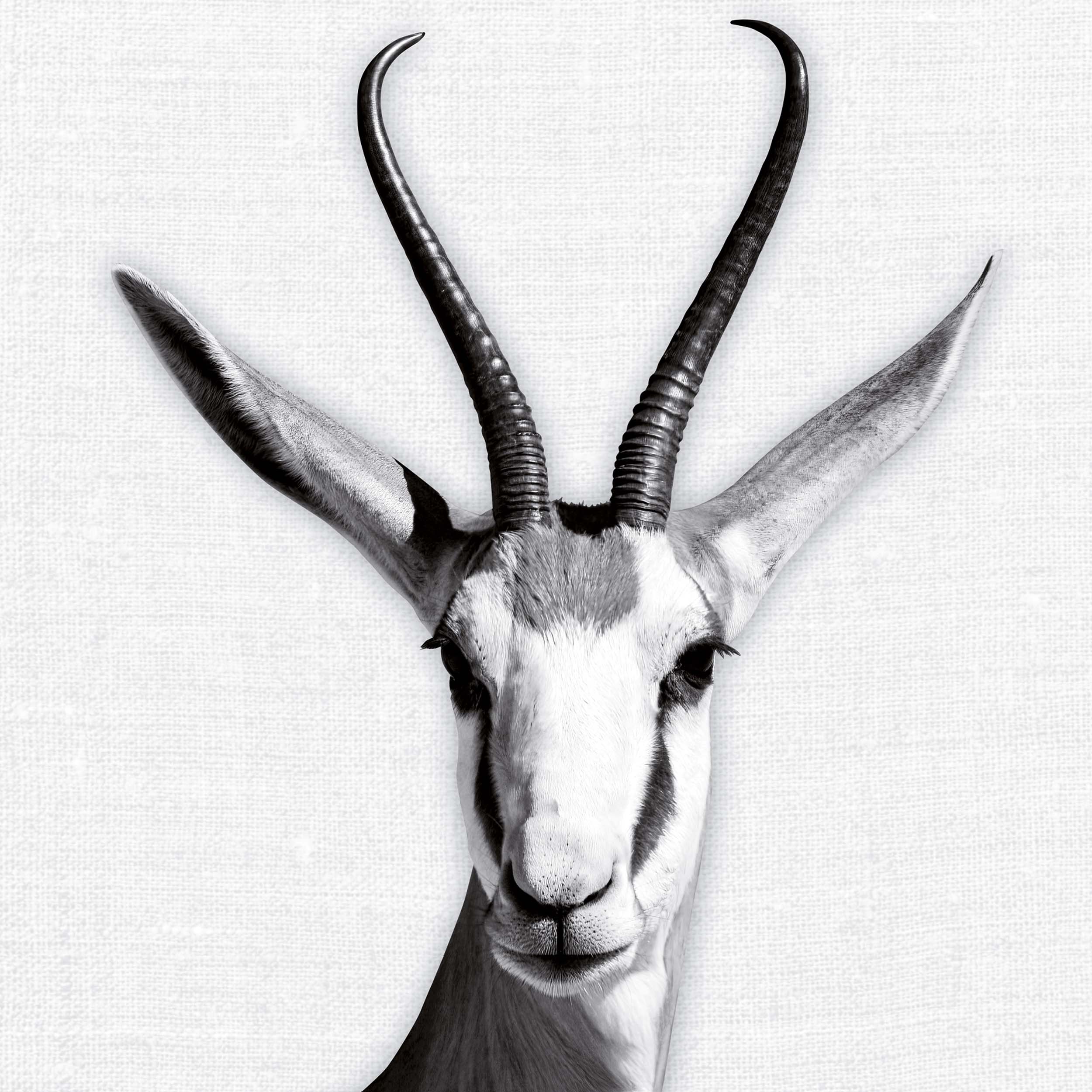 9783959295284_innenansicht_06 9783959295284_innenansicht_06.jpg