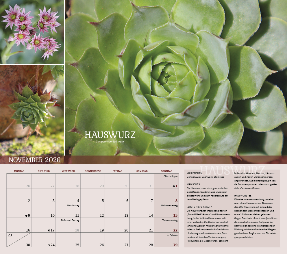 9783861925309_innenansicht_11 9783861925309_innenansicht_11.jpg