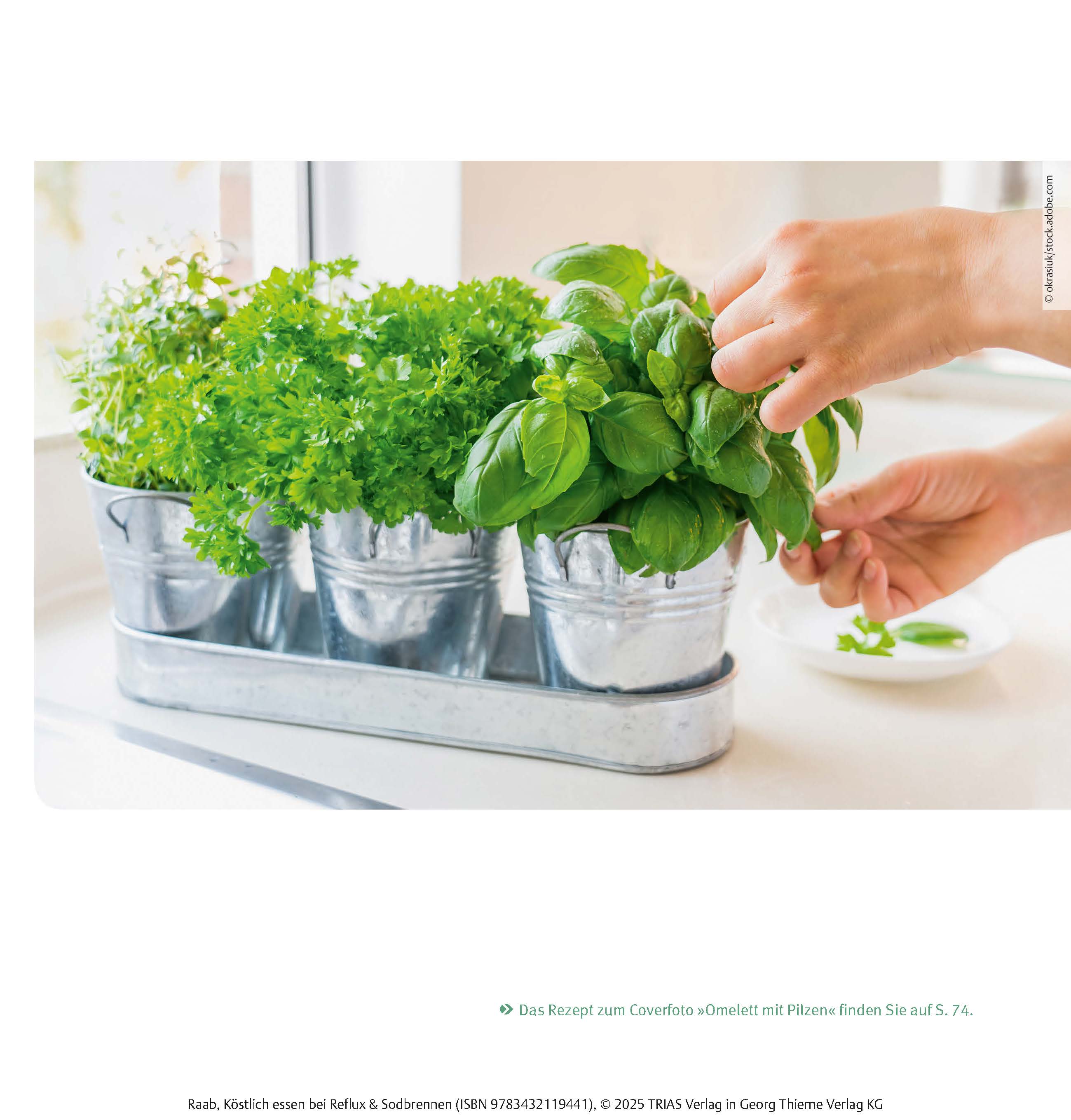 9783432119441_innenansicht_05 9783432119441_innenansicht_05.jpg