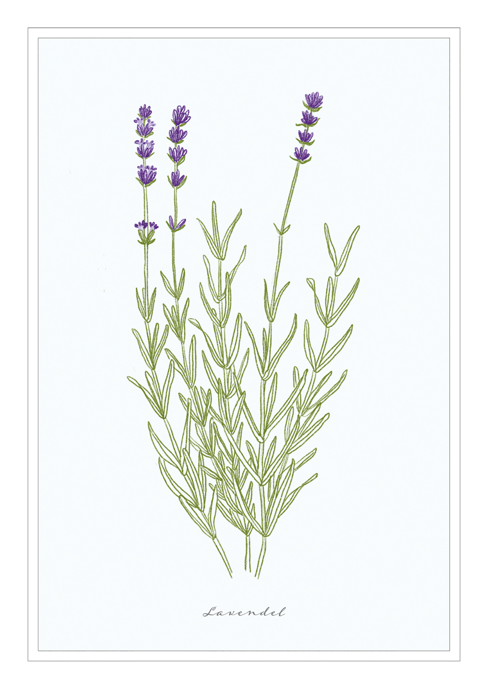 4250222903221_innenansicht_10 4250222903221_innenansicht_10.jpg