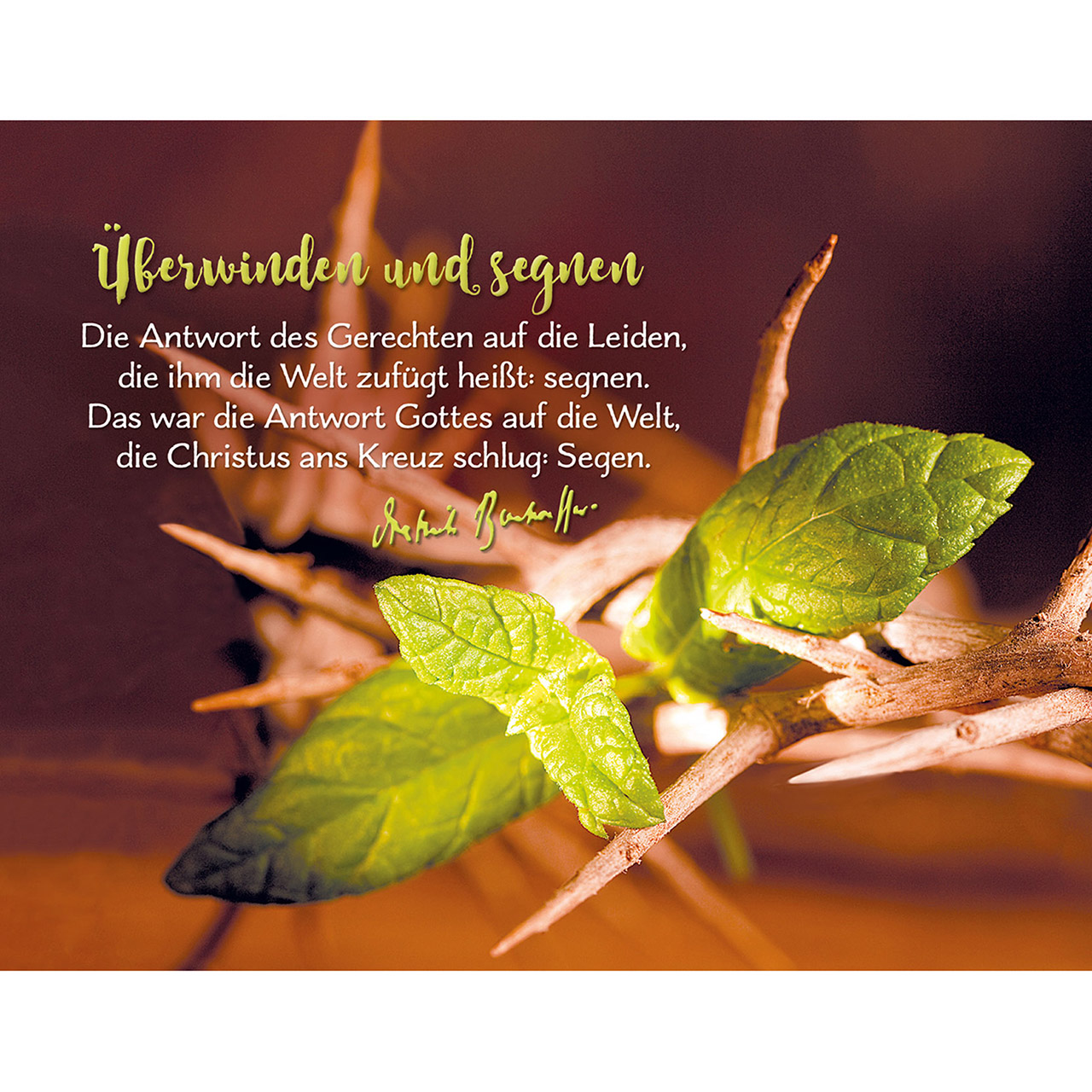 9783863387259_innenansicht_02 9783863387259_innenansicht_02.jpg