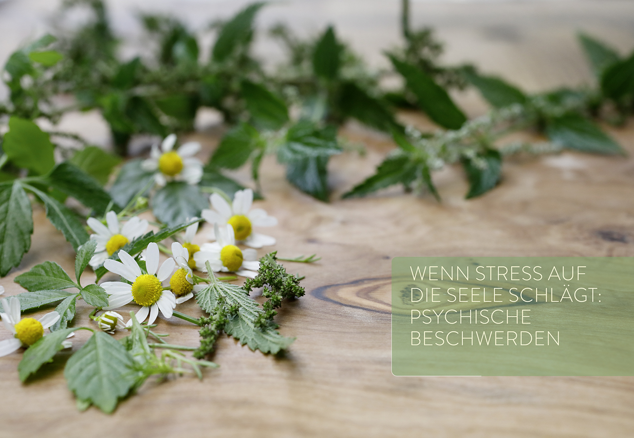 9783818623555_innenansicht_01 9783818623555_innenansicht_01.jpg