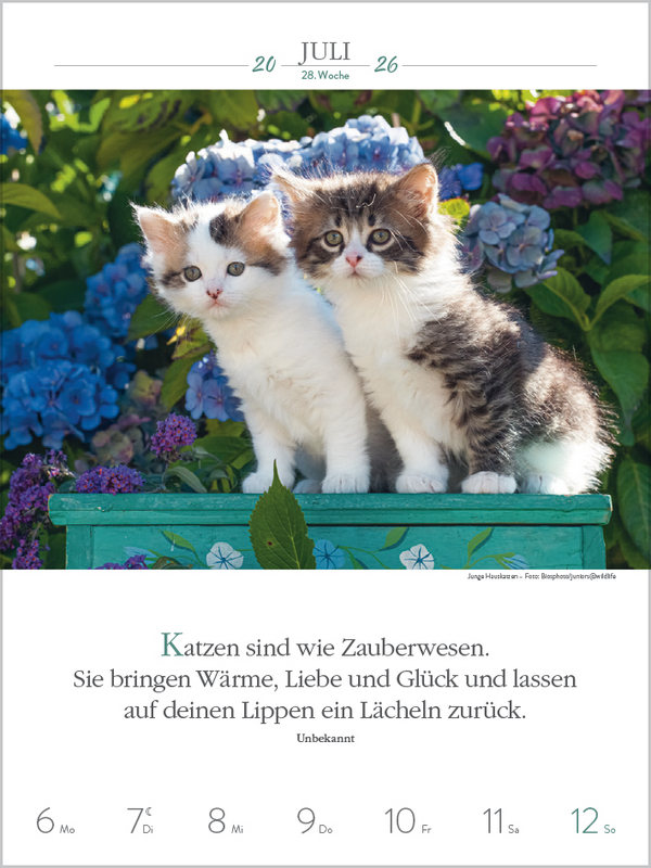 9783731884354_innenansicht_05.jpg
