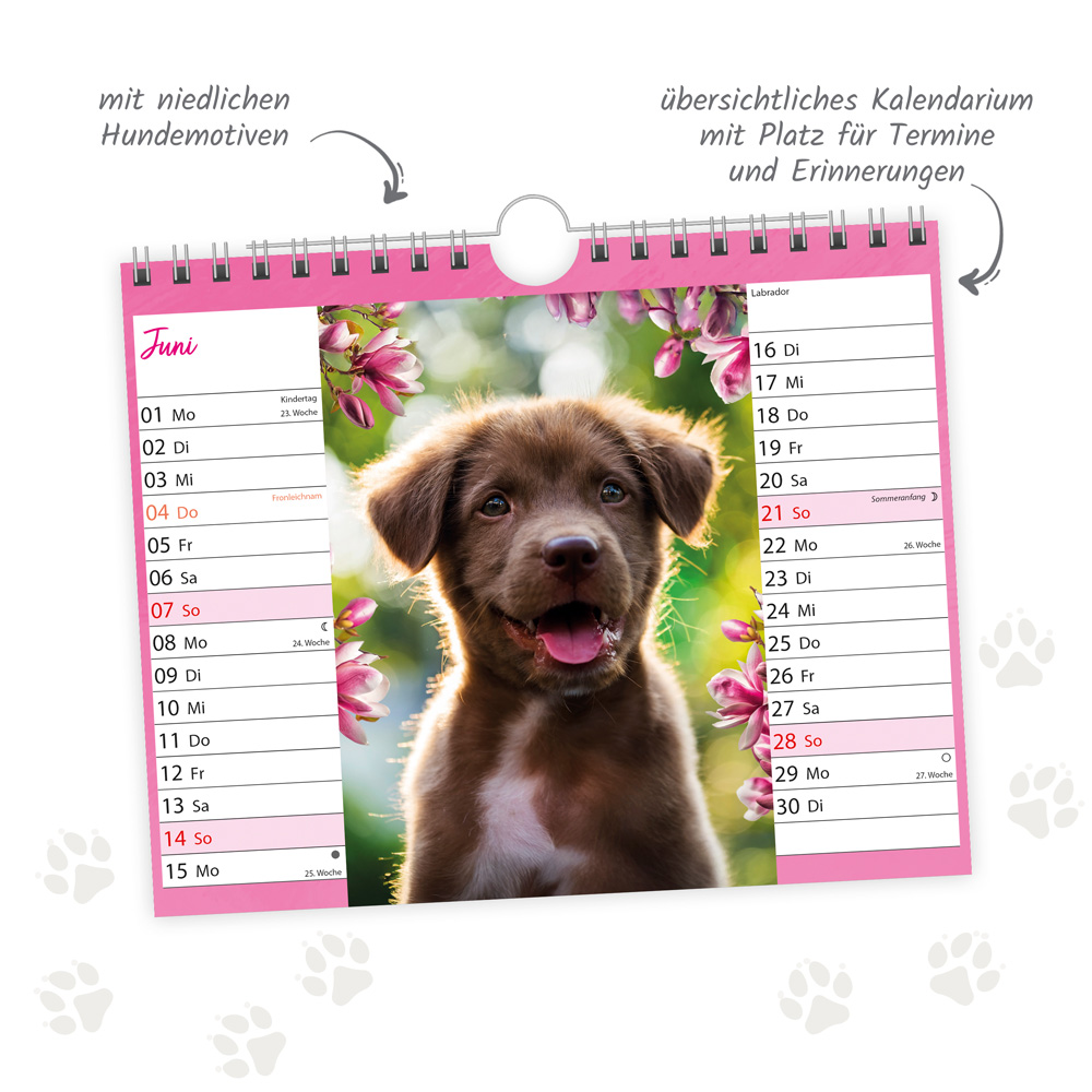 9783988024299_innenansicht_02 9783988024299_innenansicht_02.jpg