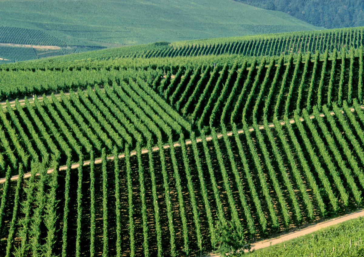 9783910228467_werbematerial_05 9783910228467_werbematerial_05.jpg