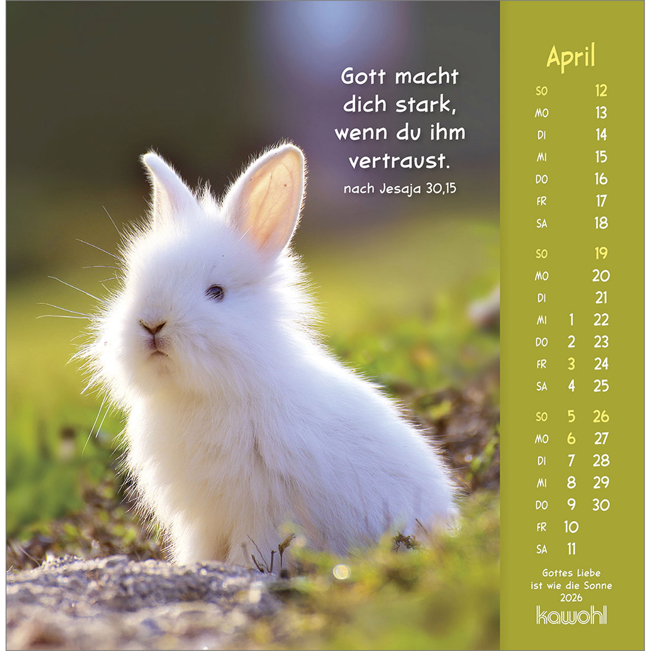 9783754848067_innenansicht_04.jpg
