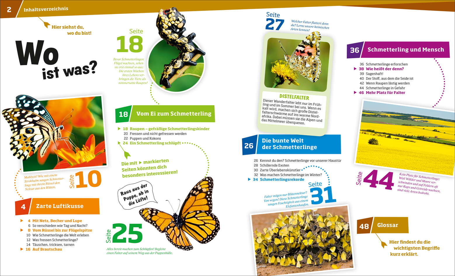 9783788620776_innenansicht_01 9783788620776_innenansicht_01.jpg