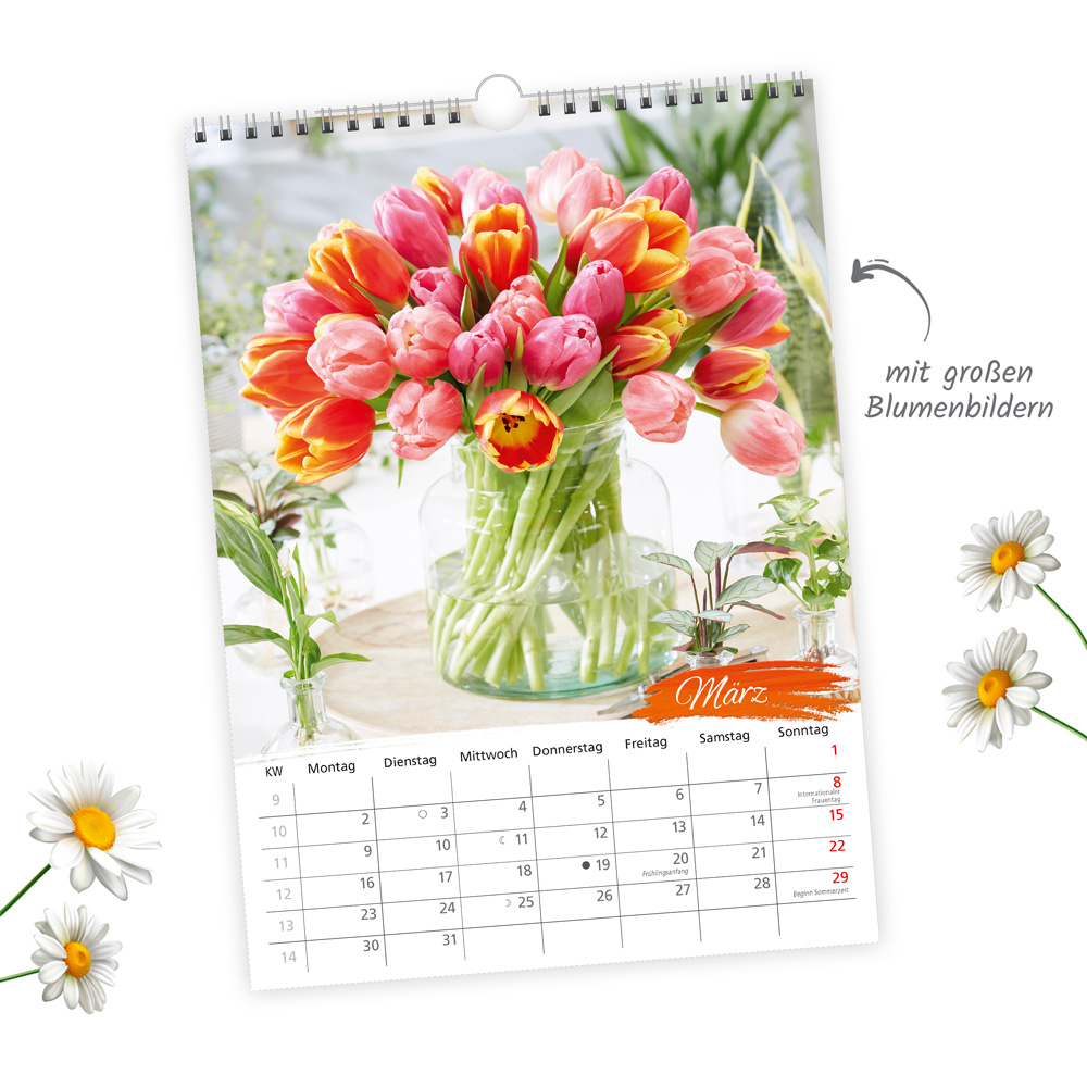 9783988023872_innenansicht_02 9783988023872_innenansicht_02.jpg