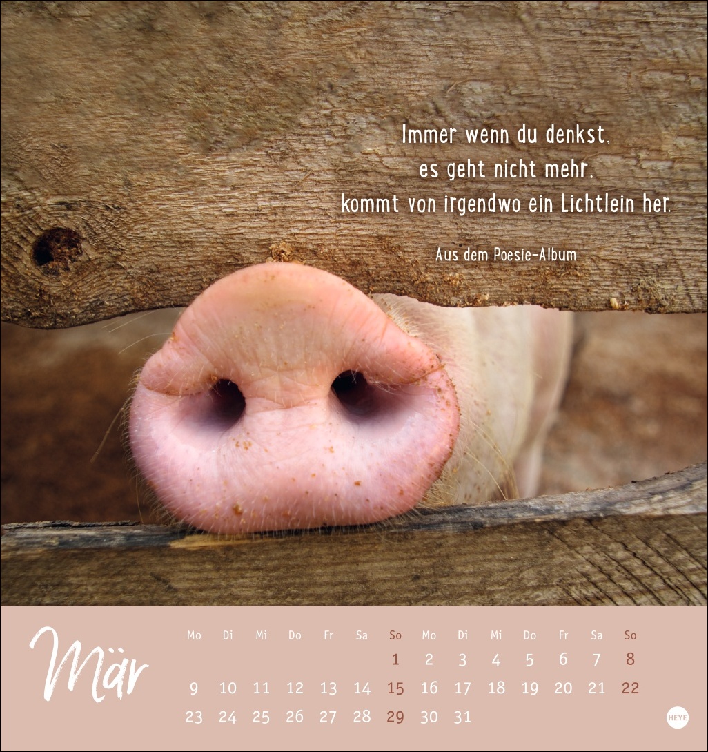9783756411948_innenansicht_03.jpg