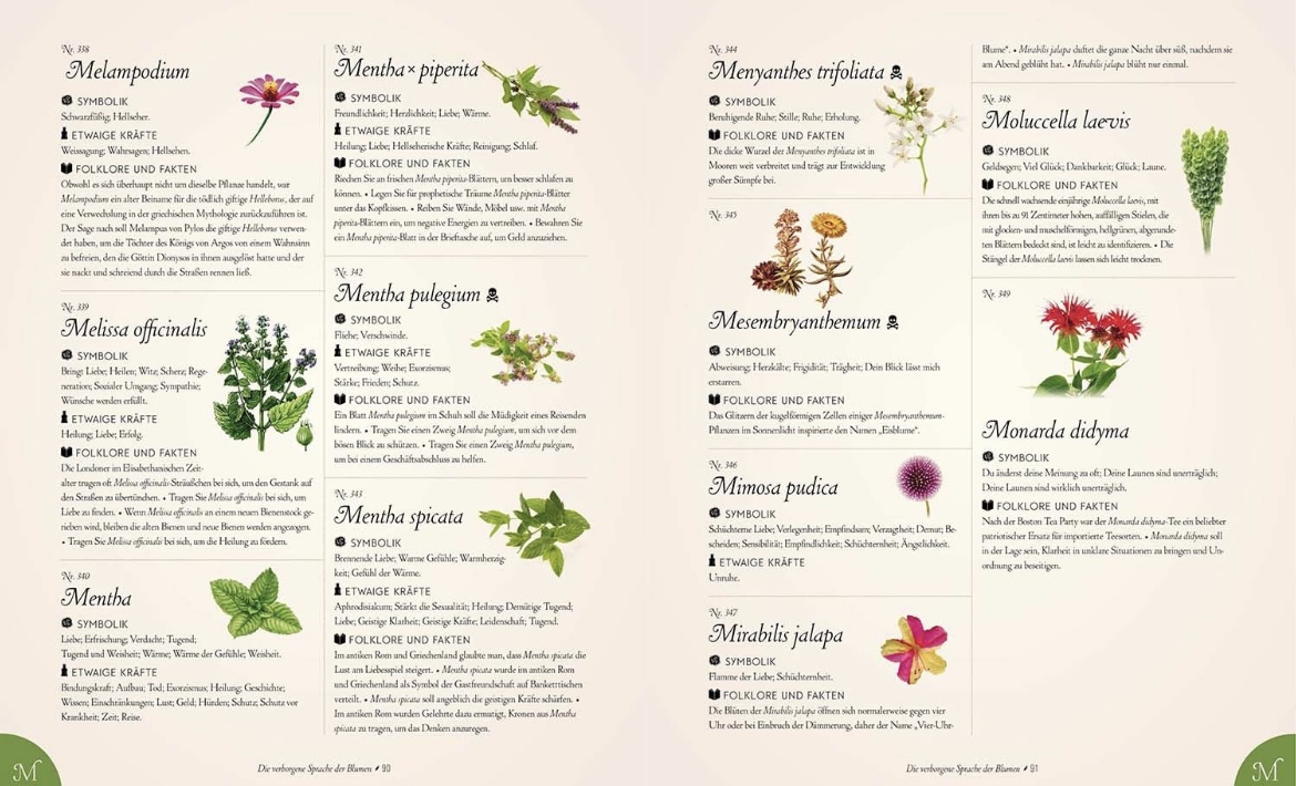 9789464990782_innenansicht_03 9789464990782_innenansicht_03.jpg