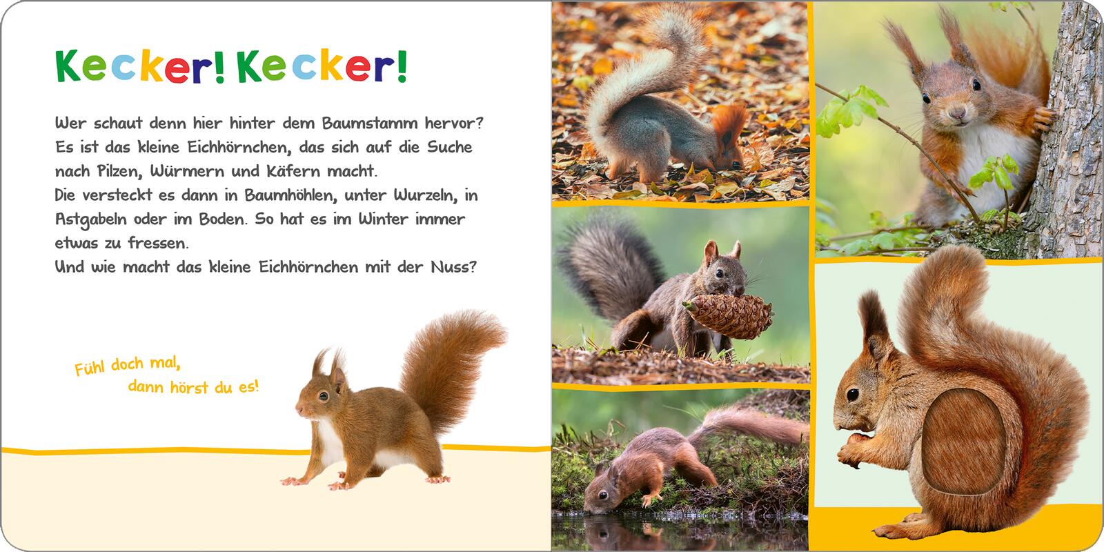 9783845853581_innenansicht_02.jpg