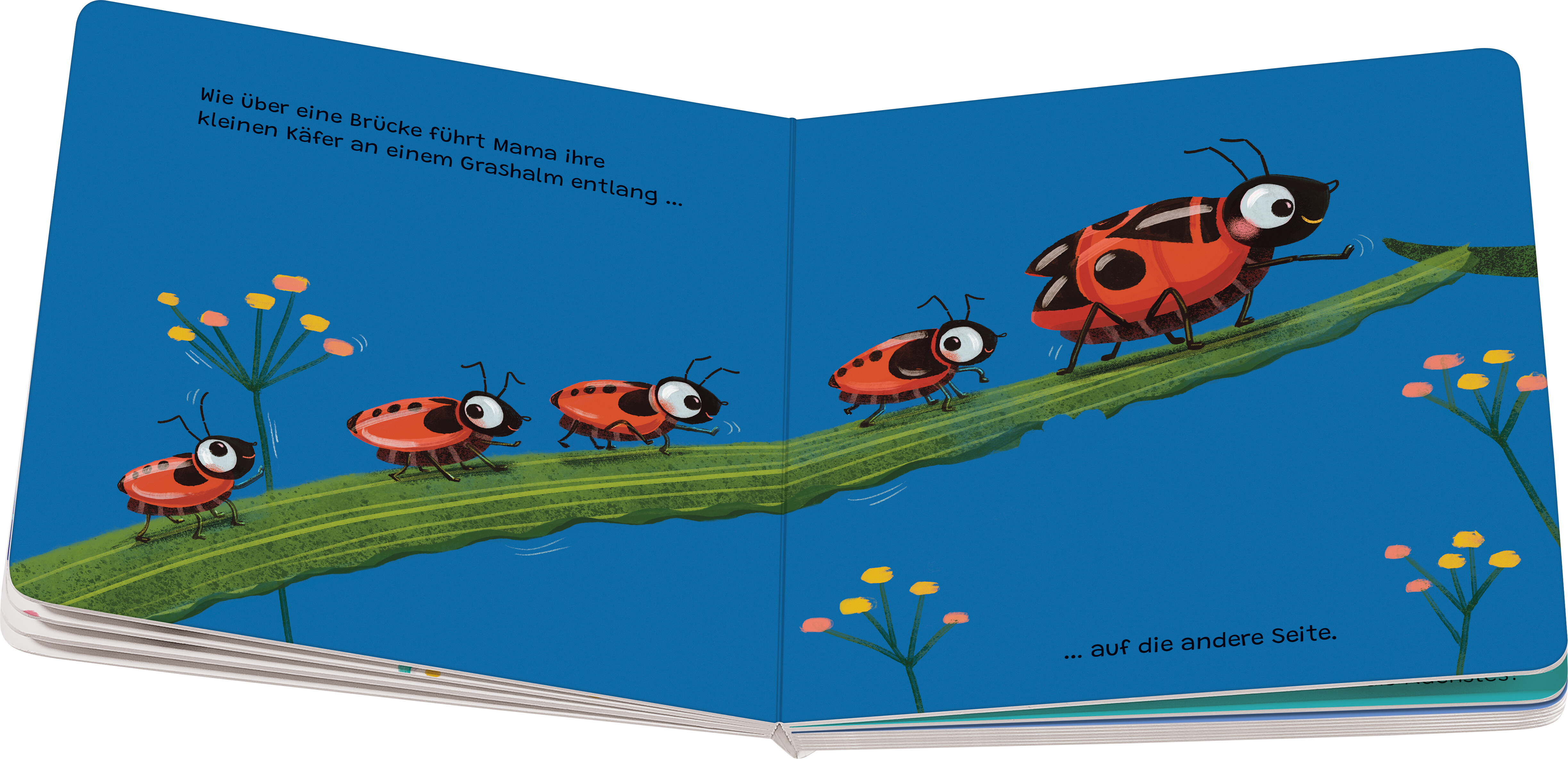 9783473421046_innenansicht_01 9783473421046_innenansicht_01.jpg