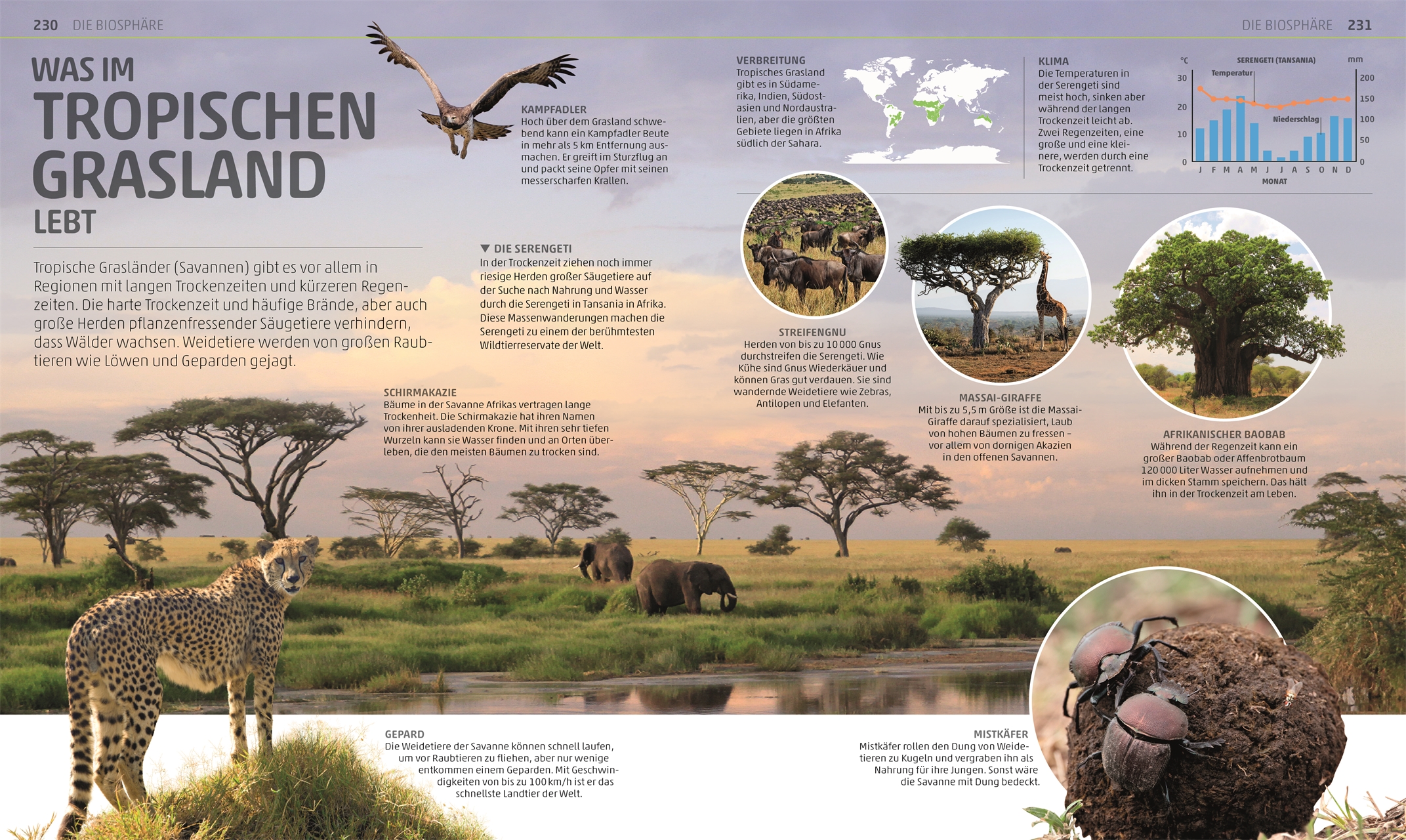 9783831049790_innenansicht_05 9783831049790_innenansicht_05.jpg