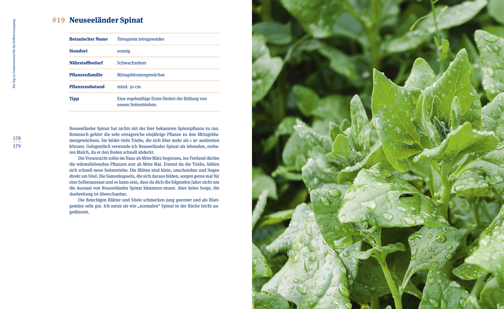 9783706629874_innenansicht_06 9783706629874_innenansicht_06.jpg