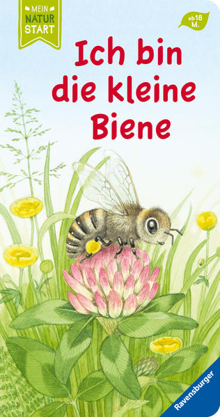 9783473439805 9783473439805