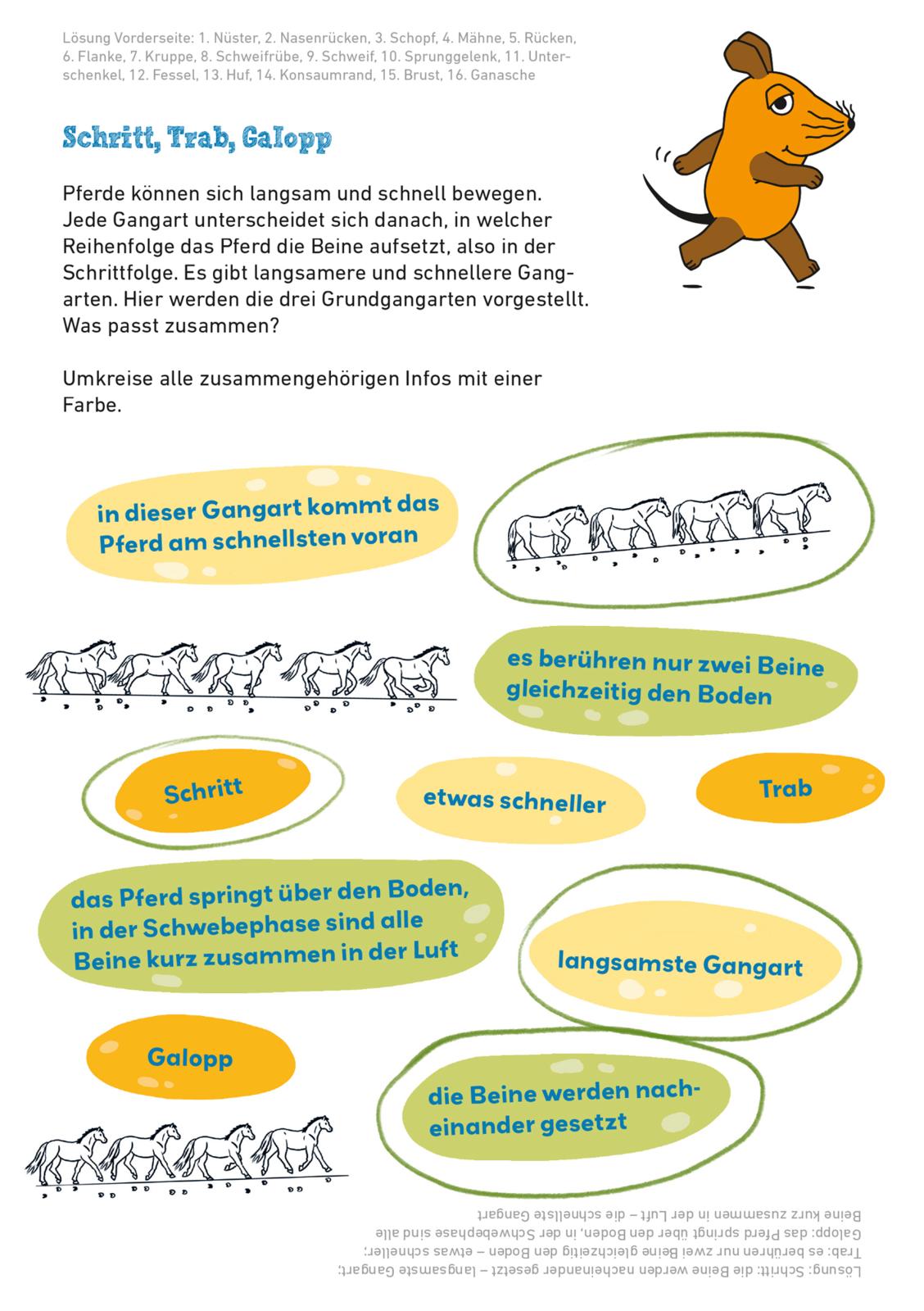 9783551255242_innenansicht_04.jpg